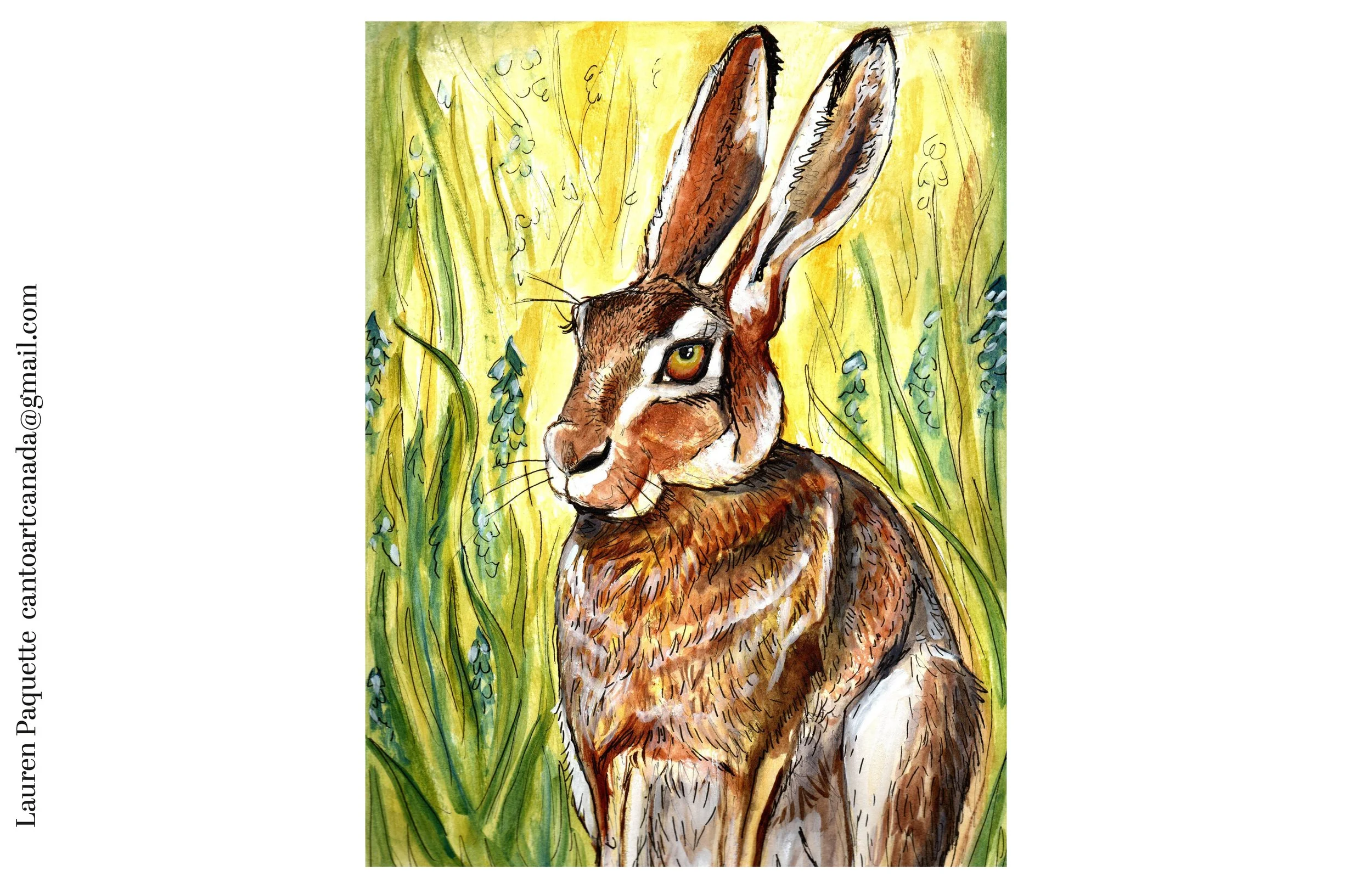Wide bunny  1.jpg