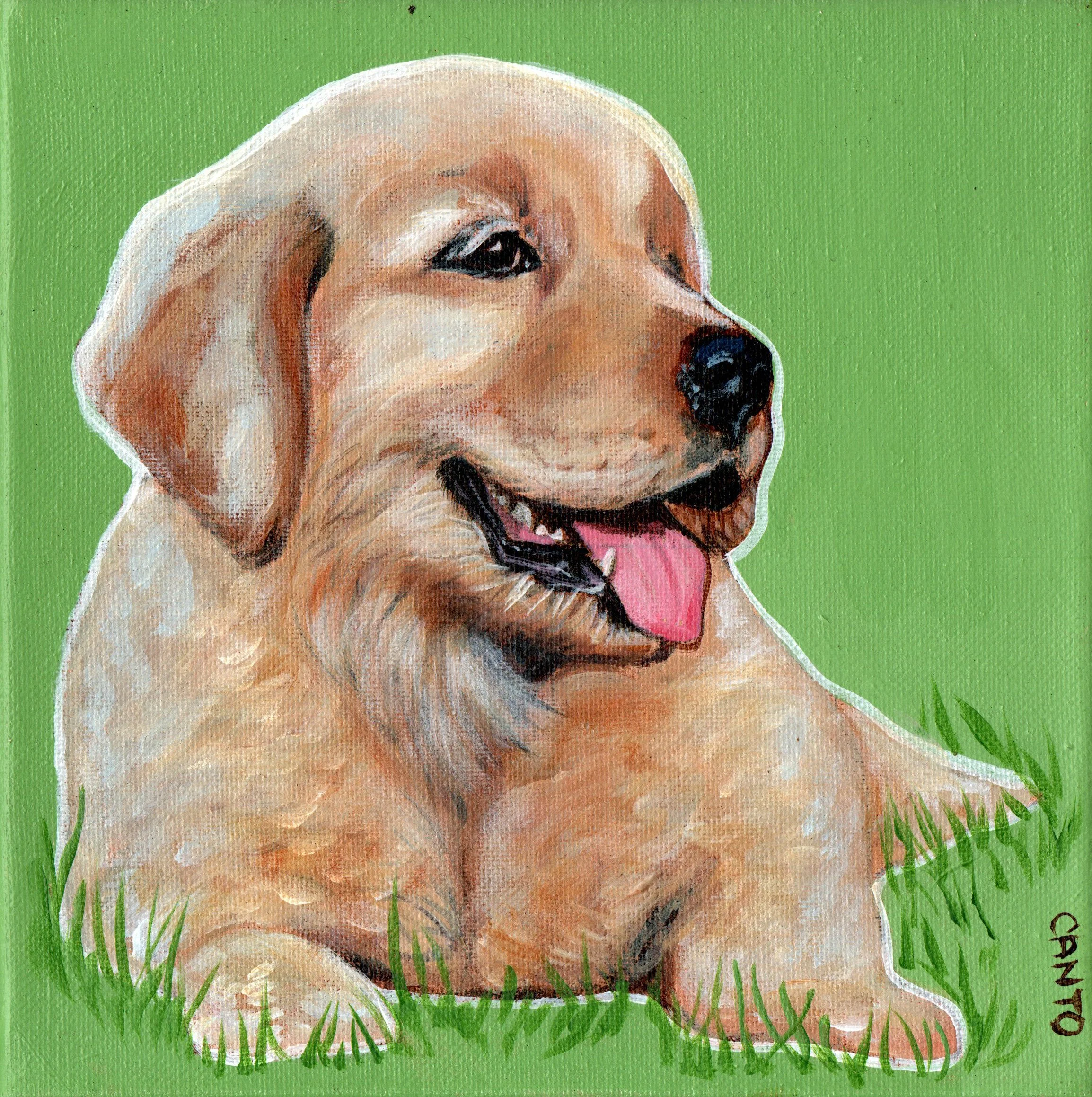 golden puppy scanned.jpg