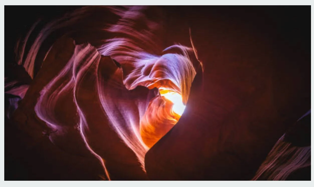 The Labyrinth of Life