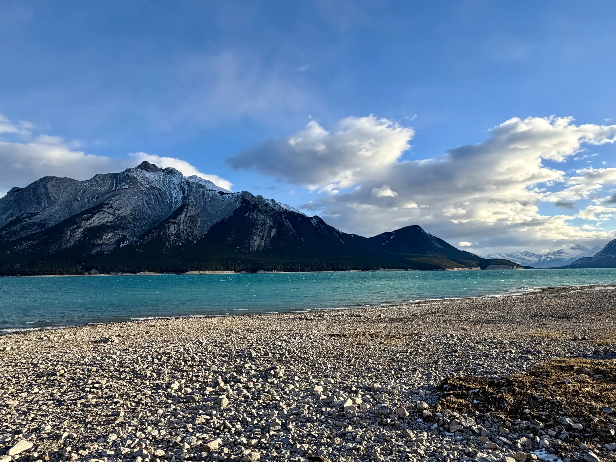 Unconditional vs Conditional Love: How to Tell the Difference and How Intuition Guides the Healthier Choice