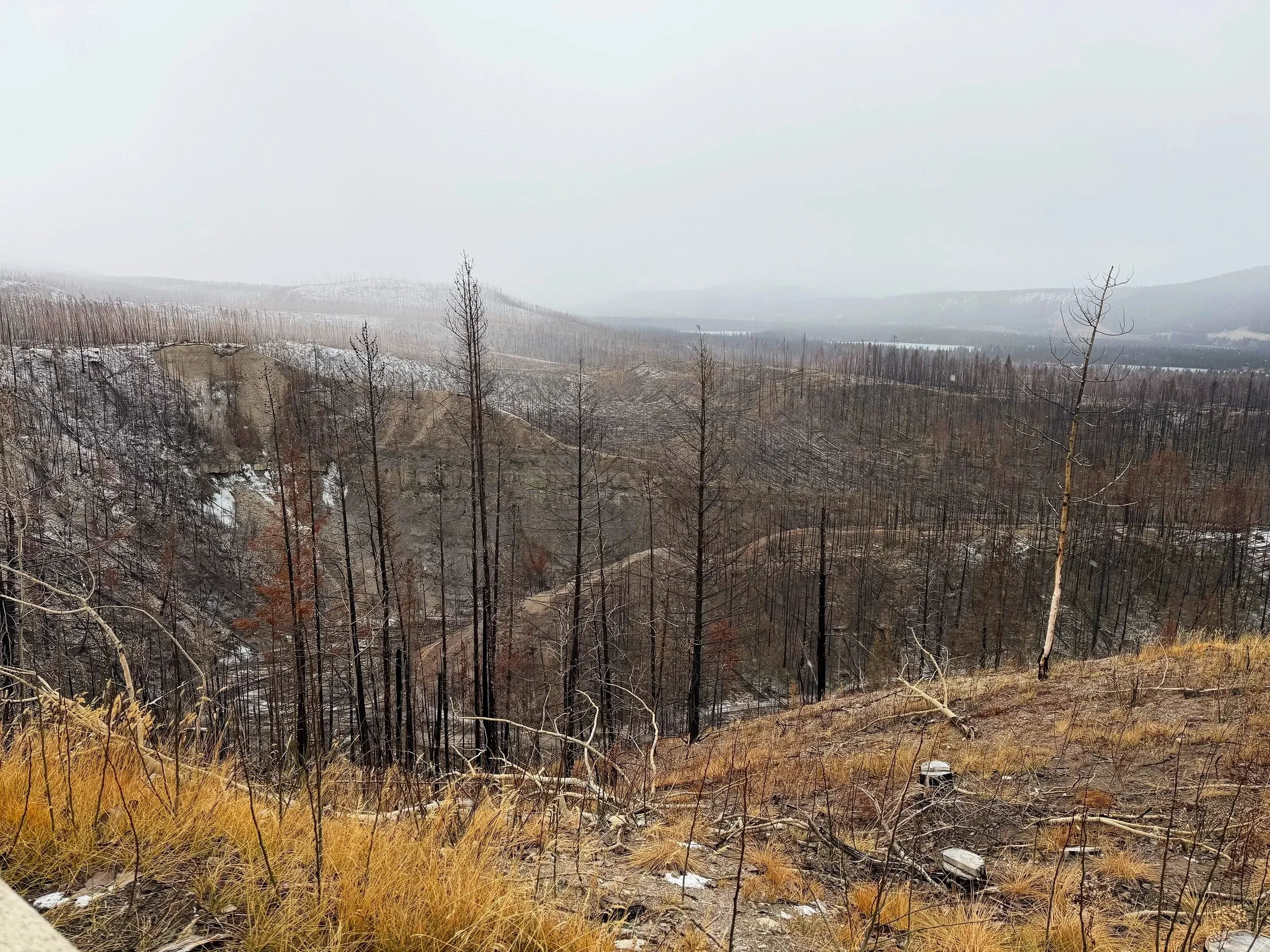 Fires to Flourish, Maligne Canyon, Jasper, Alberta, Canada

Photograph by Shanda Kaus