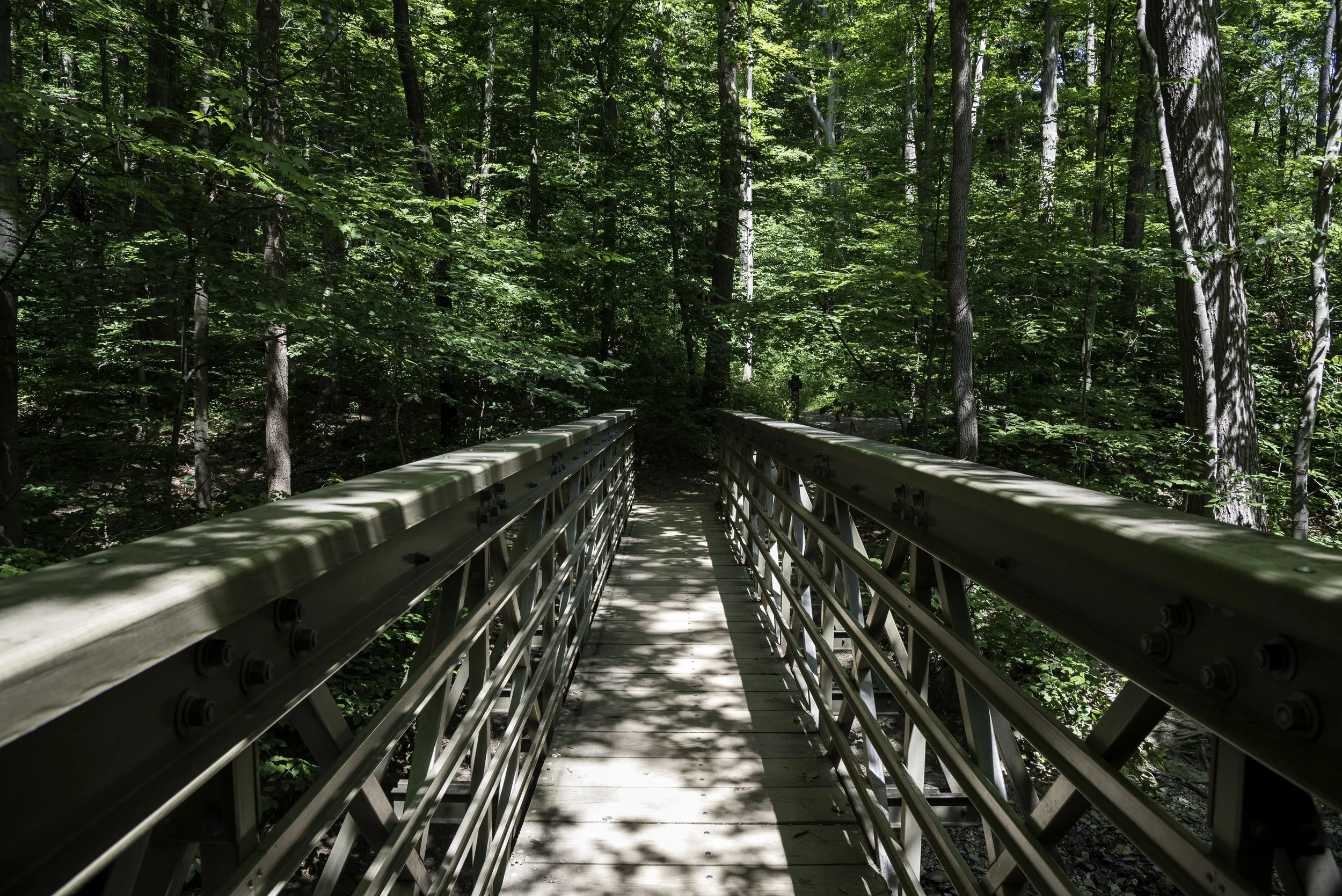 bridge-path-buckeye-trail-cayuhoga-valley-national-park-ohio.jpg