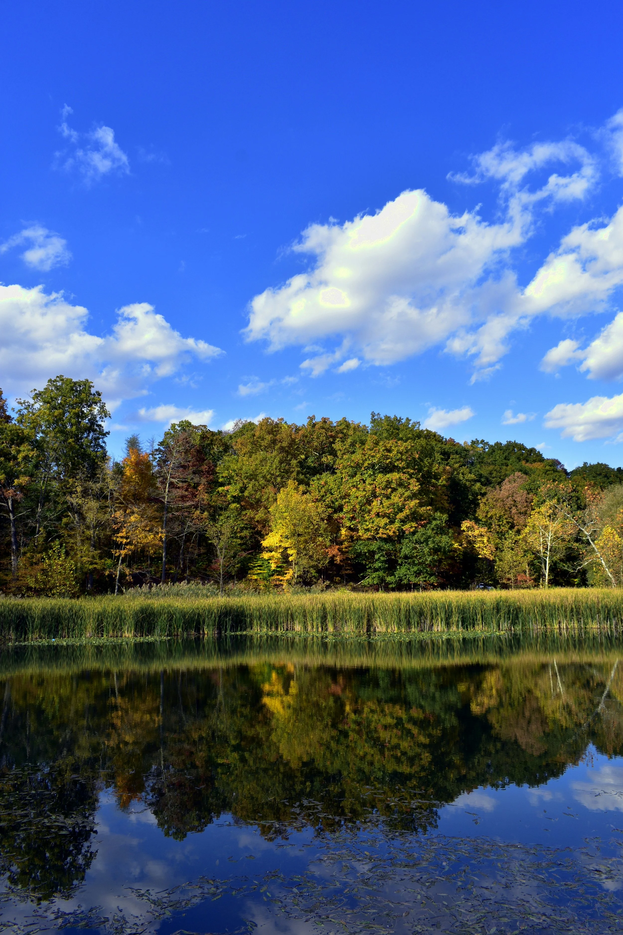 ohio-background - 4.jpg