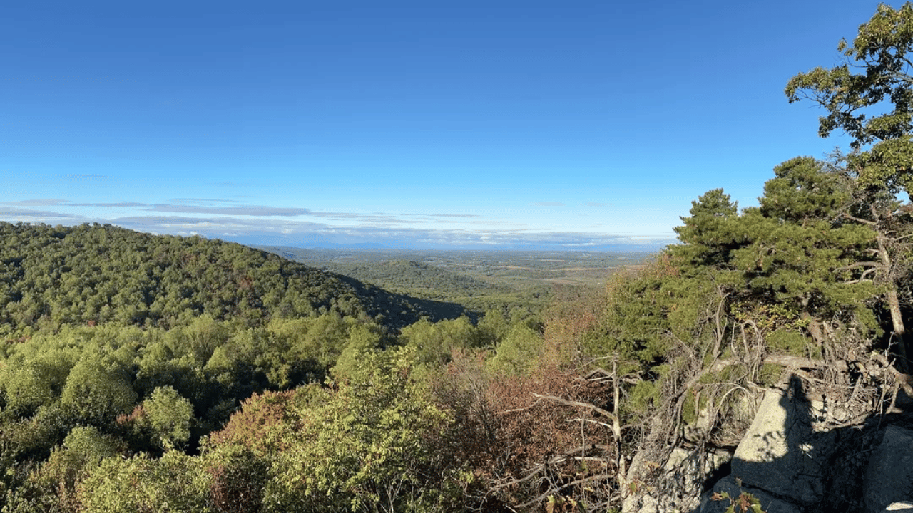 Father & Son Weekend