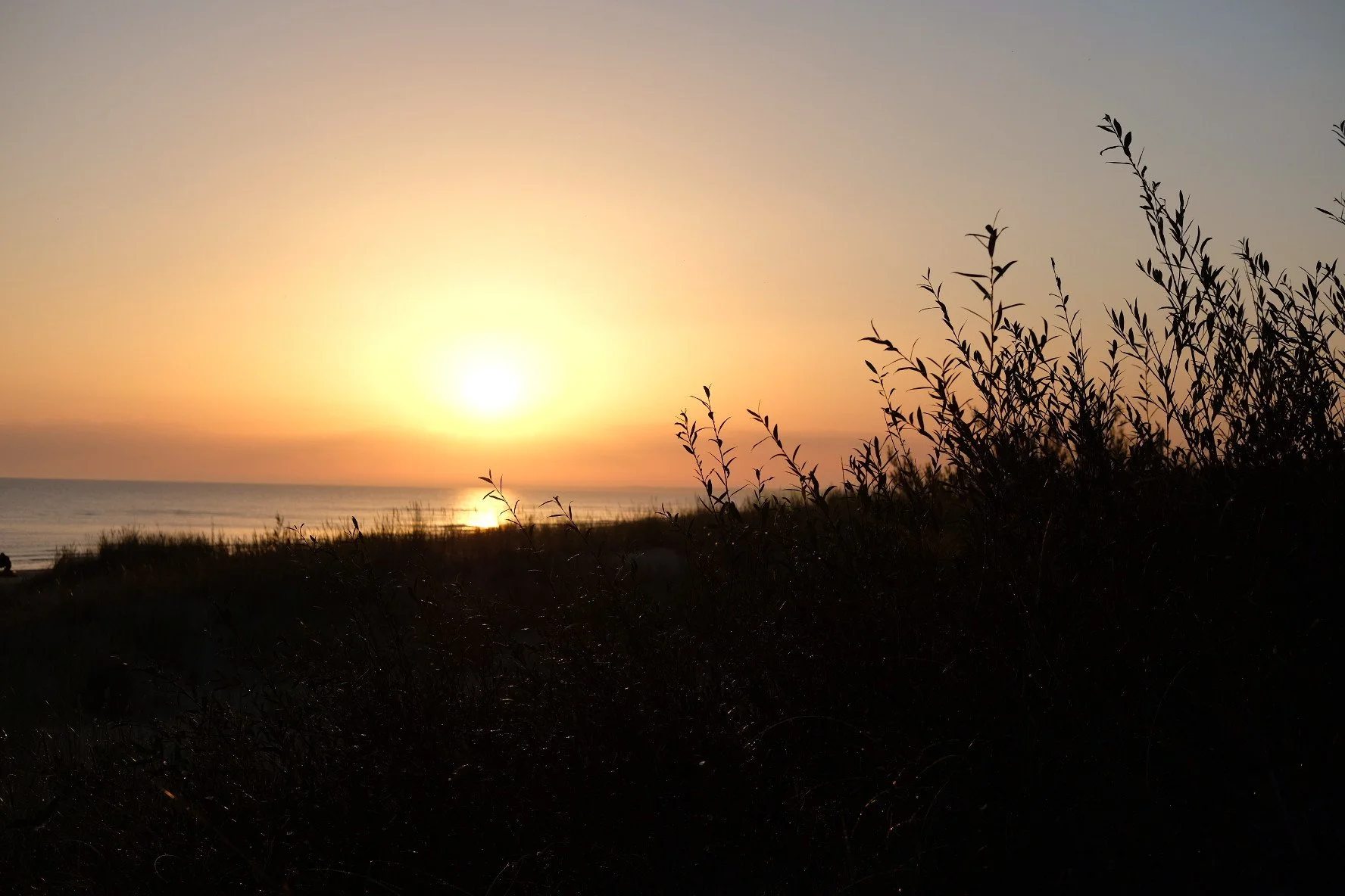 In-person councils in the ECC region