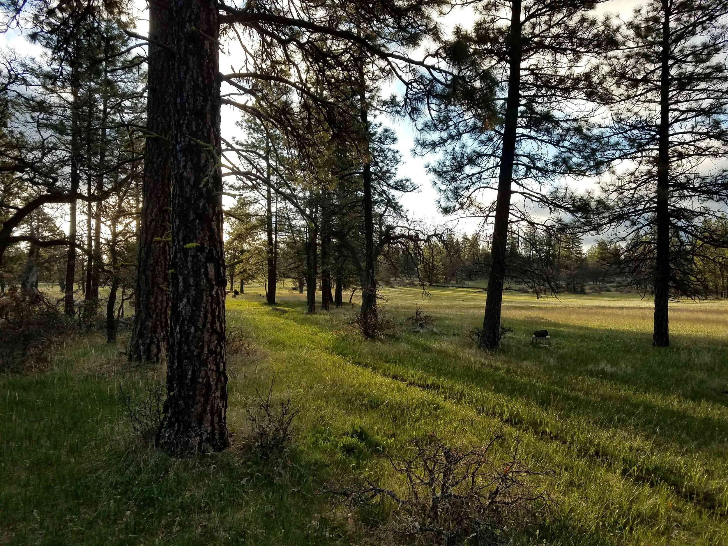 Elders' Rites of Passage (EROP for Men)