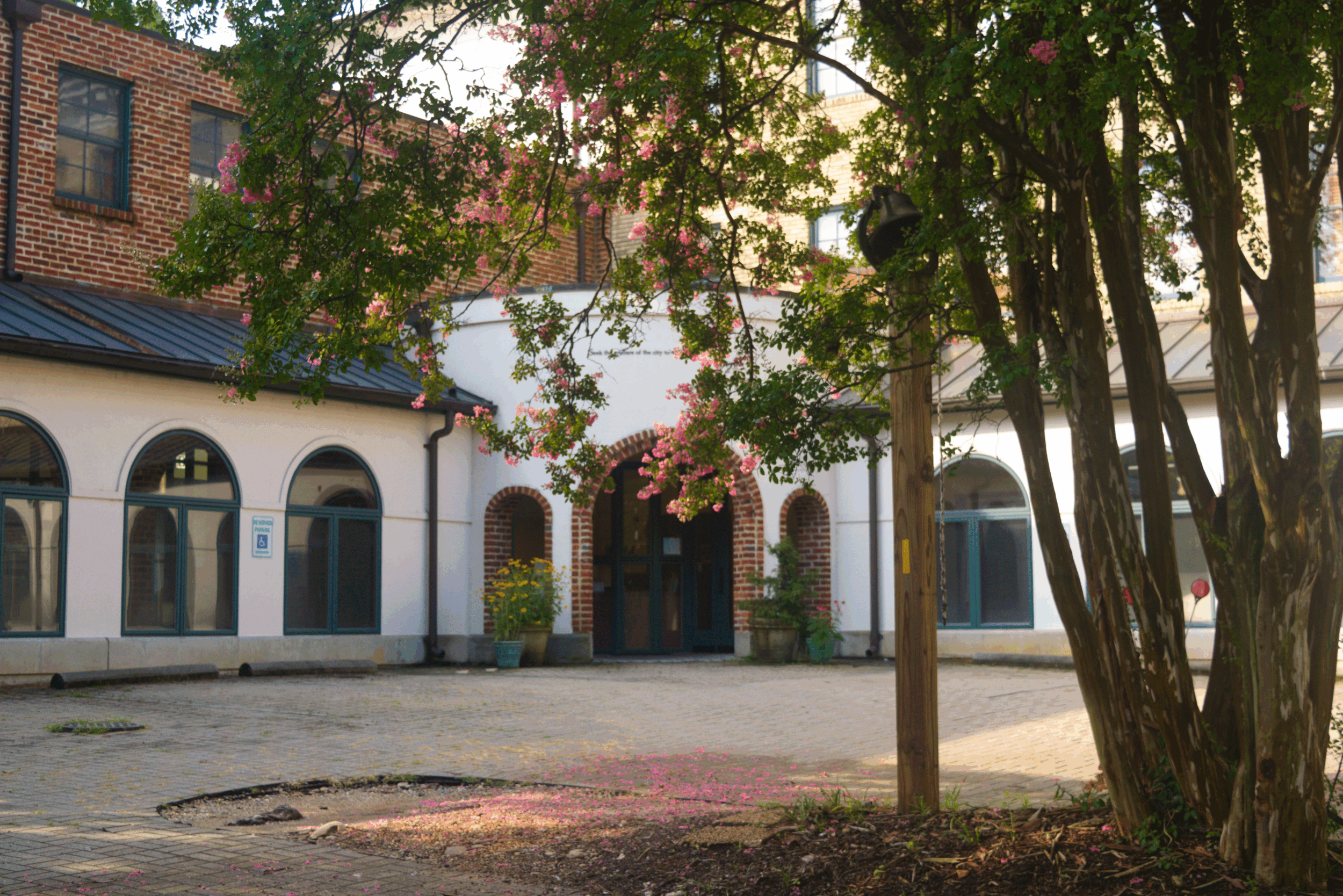 Wisdom’s Constraint and the Making of Sanctuary