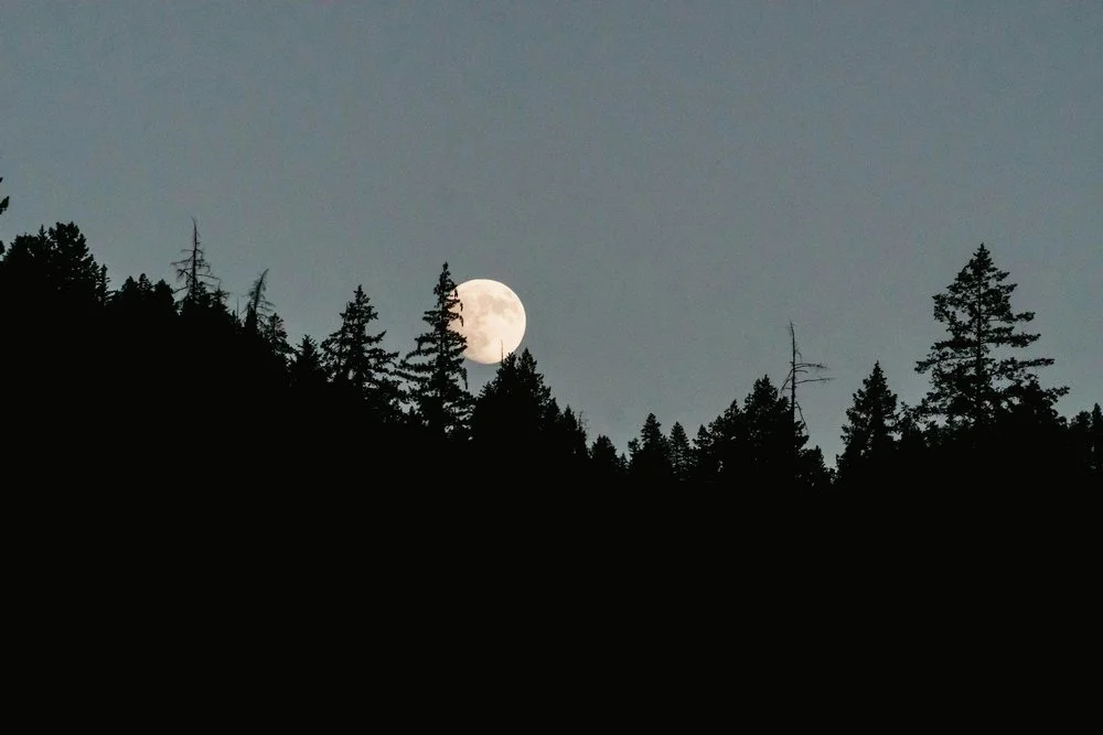 Howling at the Moon 2026