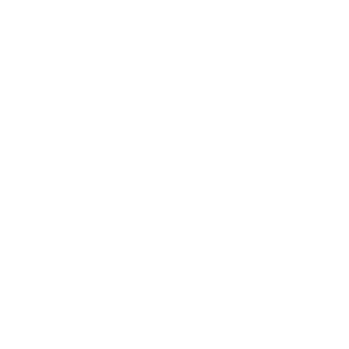 PDF Icon