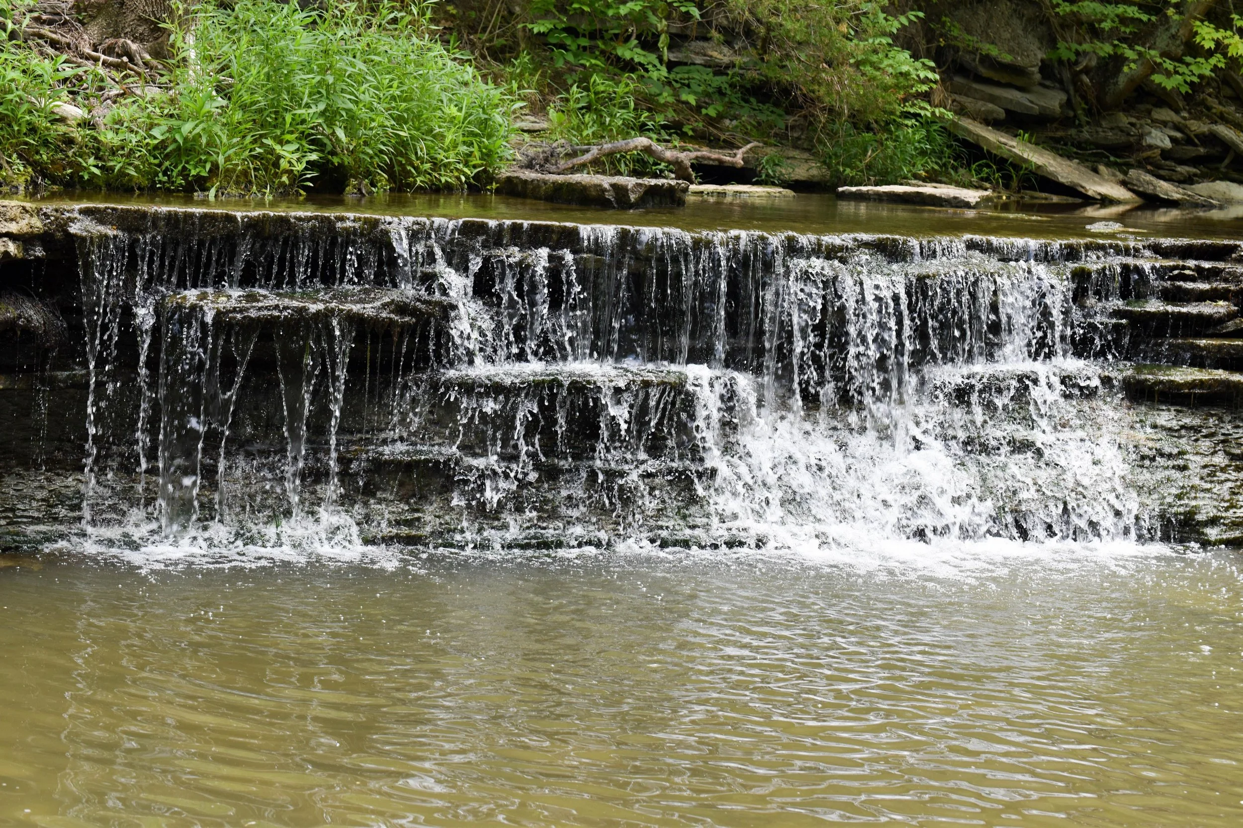 A Contemplative Wandering 2026 (Ohio)