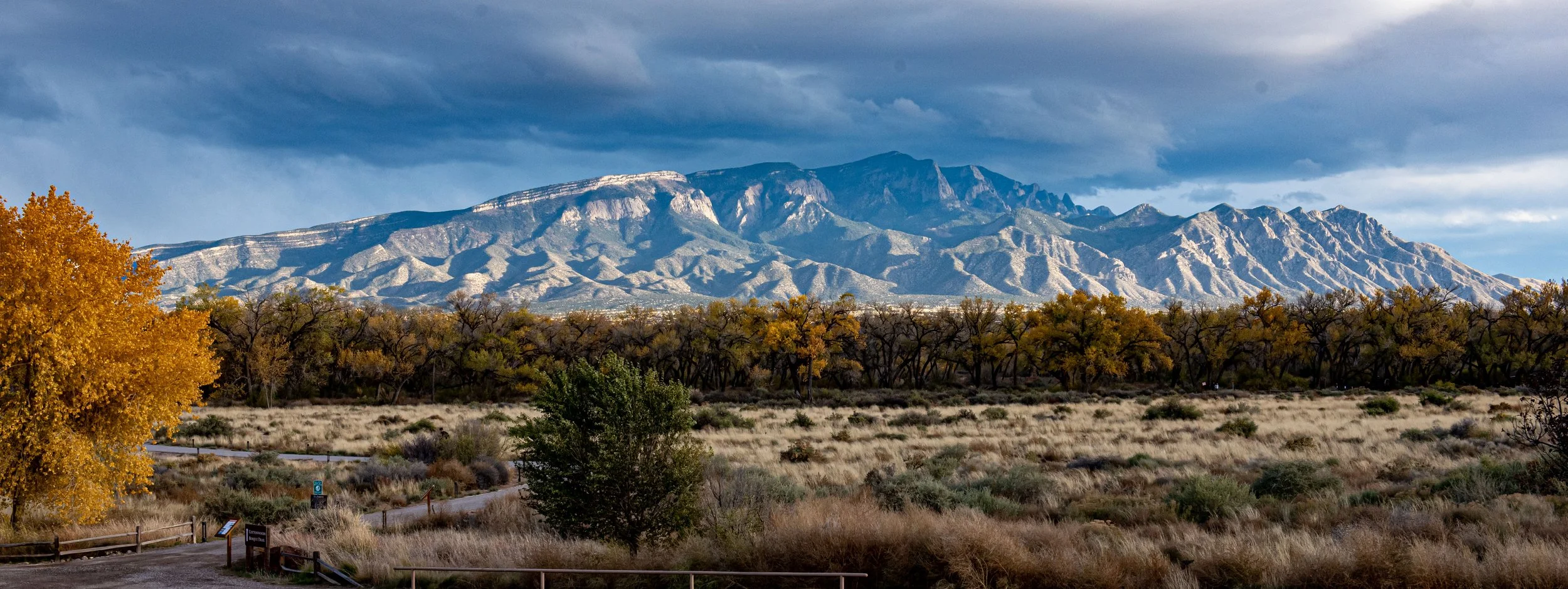 Mountains at Awaken 2023