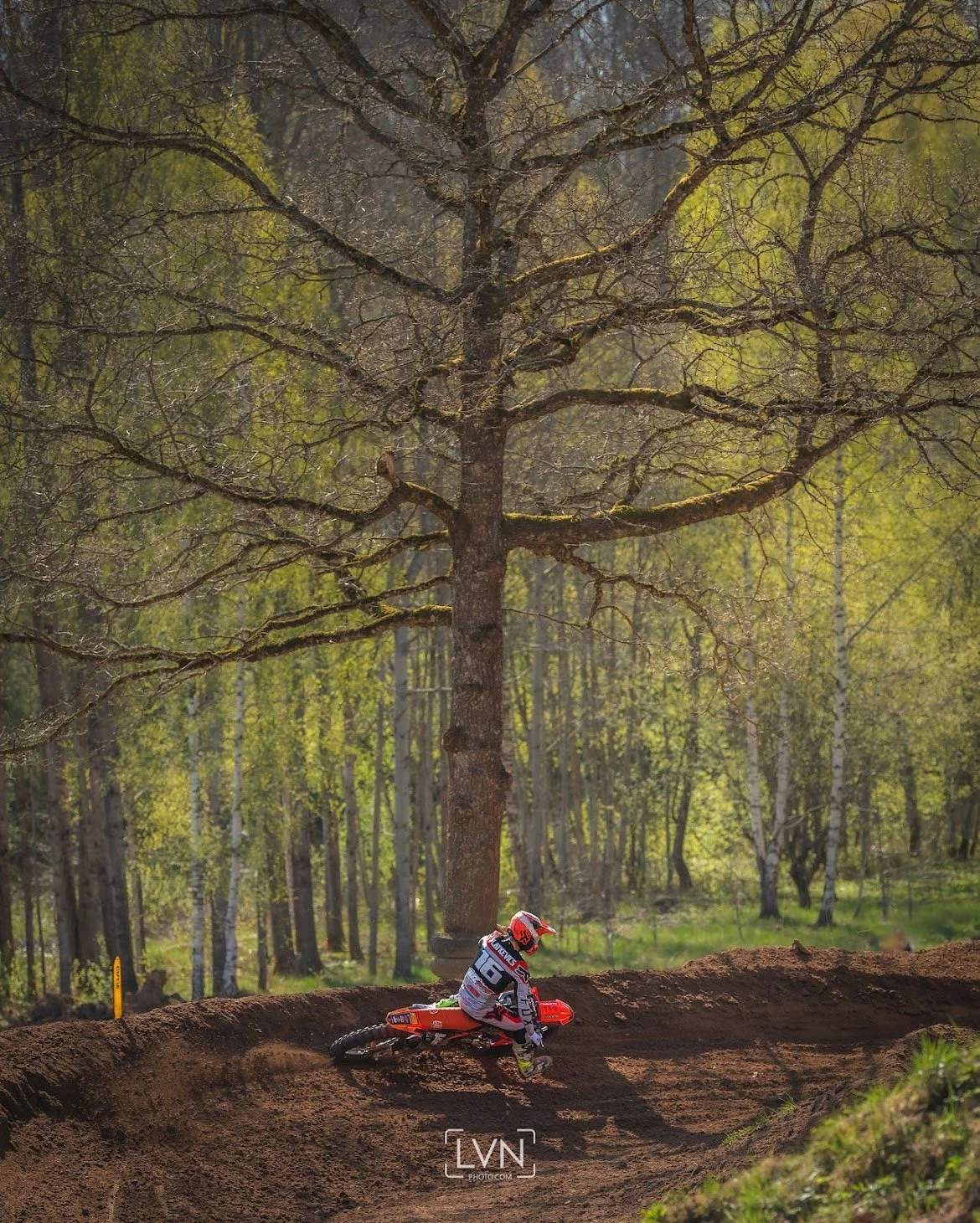 Motocross ktm rider cornering in race track with great oak in the background