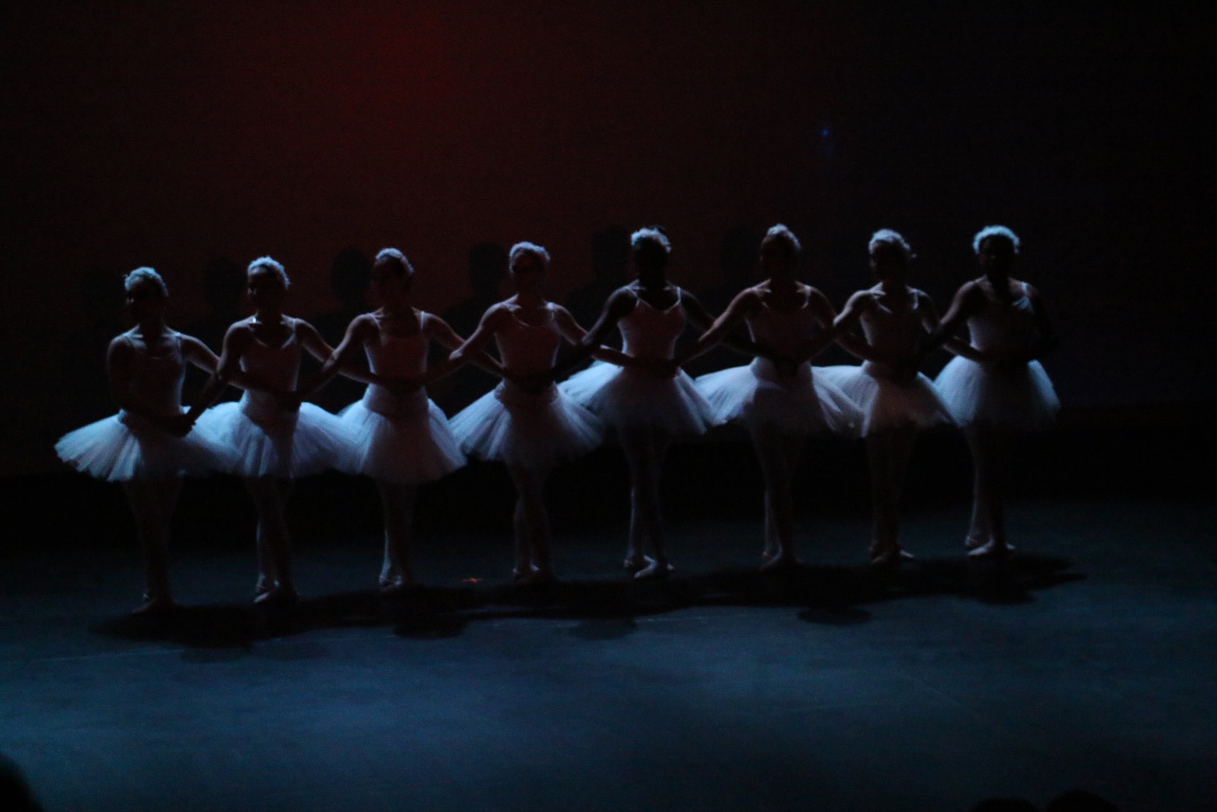 A line of ballet dancers in white tutus, performing on stage with backlighting creating silhouettes against a dark background.