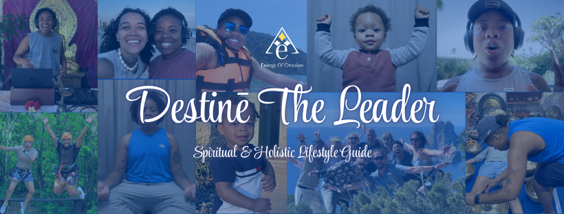 Destinē The Leader Logo (Landscape) (820 x 312 px).png