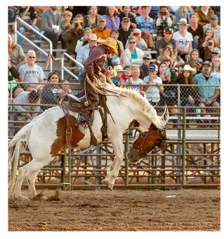 A person riding a horse in a rodeo arena with a large crowd watching from the stands.