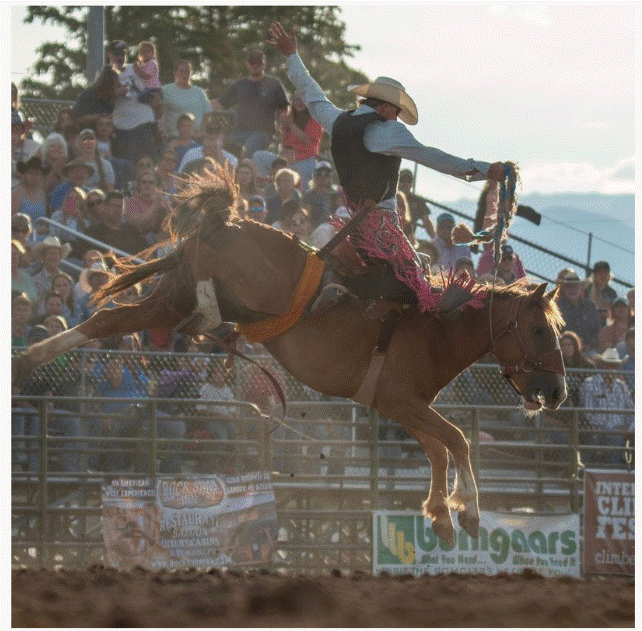 Rodeo cowboy in a hat riding a bucking horse at an outdoor rodeo event with a crowd watching in the background.