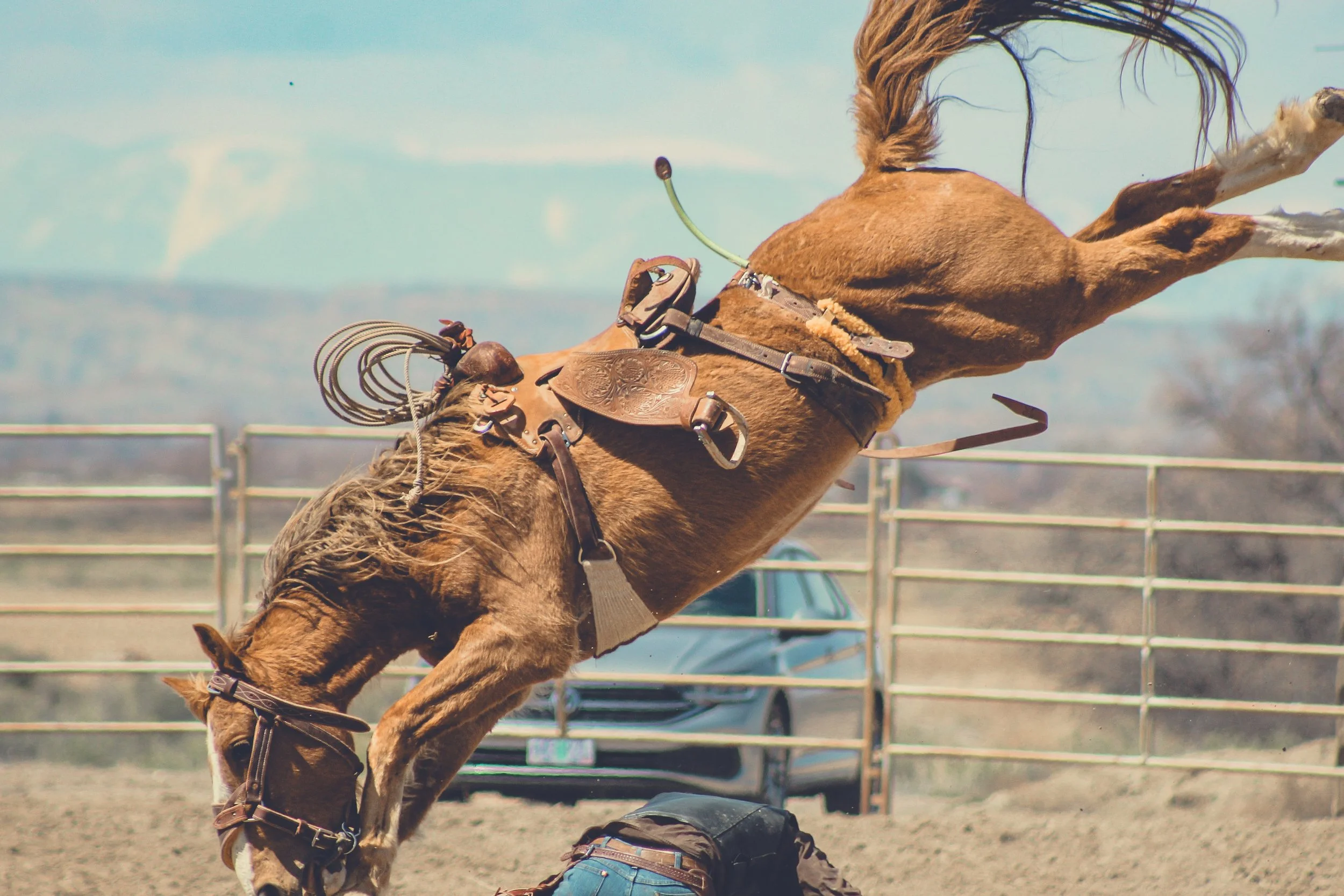 A brown horse rearing up in a rodeo or equestrian setting, with a person kneeling on the ground nearby, surrounded by a metal fence and open landscape.