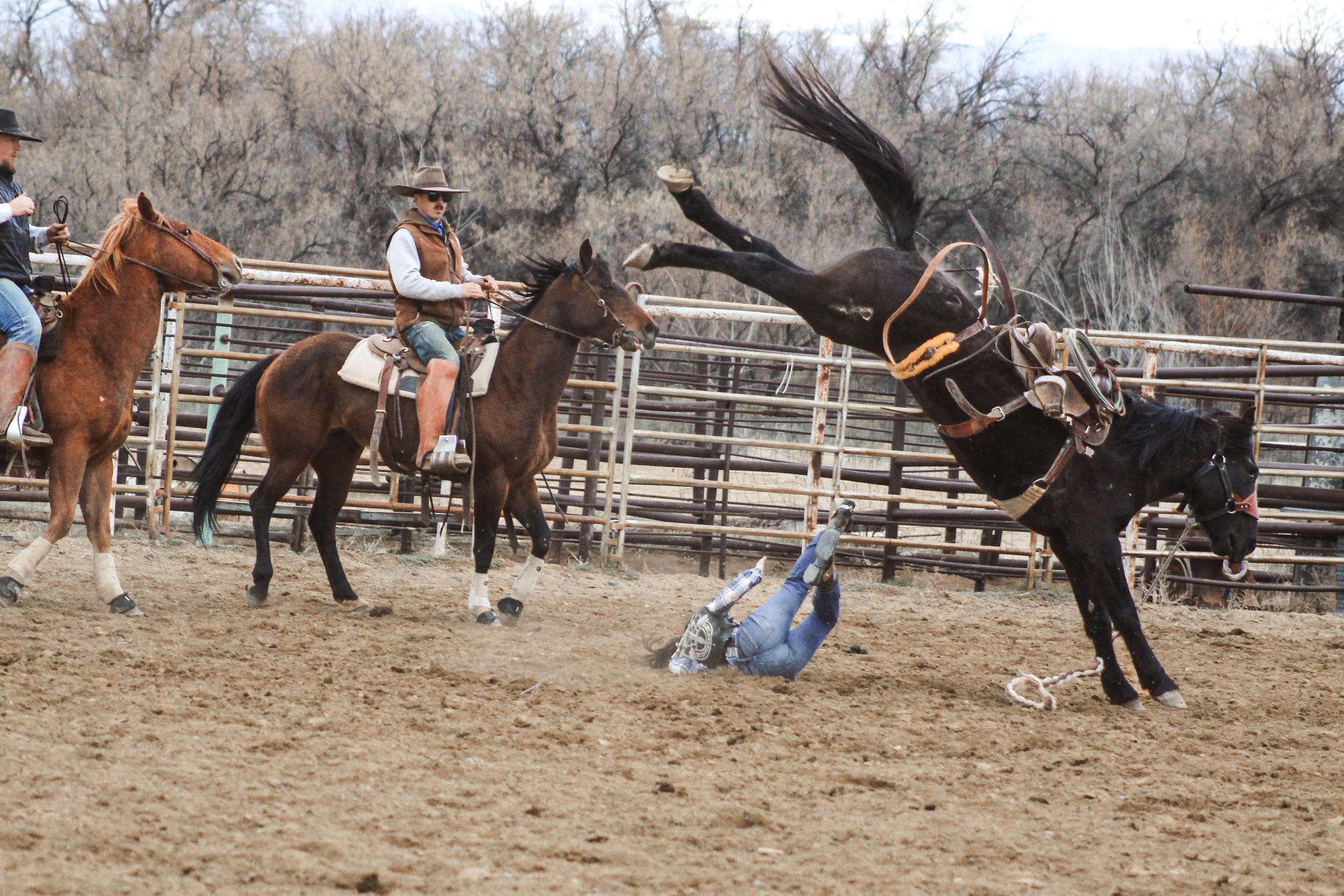 A rodeo scene where a bucking horse is thrown off a rider, who is falling to the ground in the dirt while other riders and horses observe in the background.