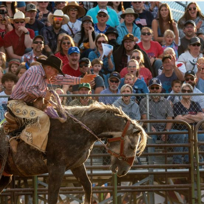 A rodeo clown on horseback performs in front of a crowd of spectators at an outdoor rodeo arena.