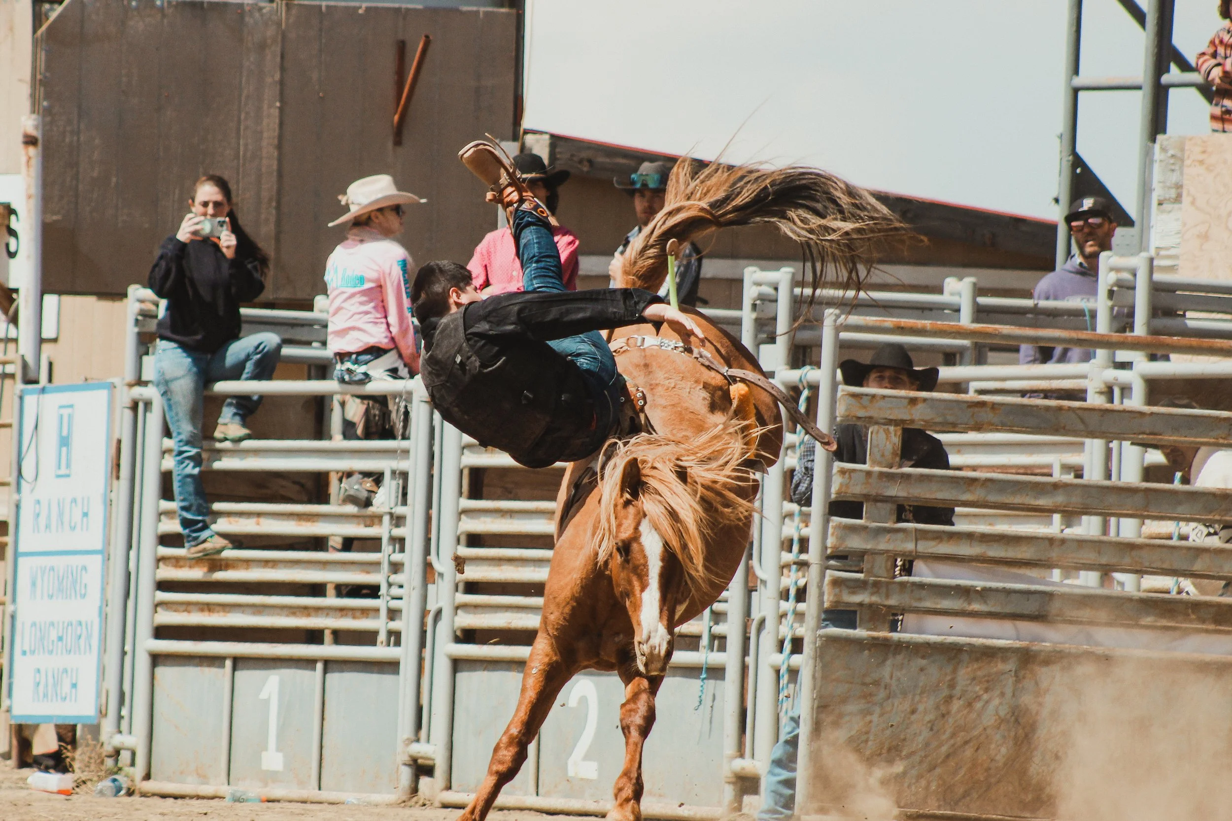 A cowboy falls off a bucking horse during a rodeo event, with spectators watching and filming in the background.