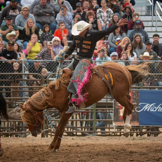 Cowgirl in black shirt and hat riding a bucking brown horse during a rodeo, with a large crowd in the background.