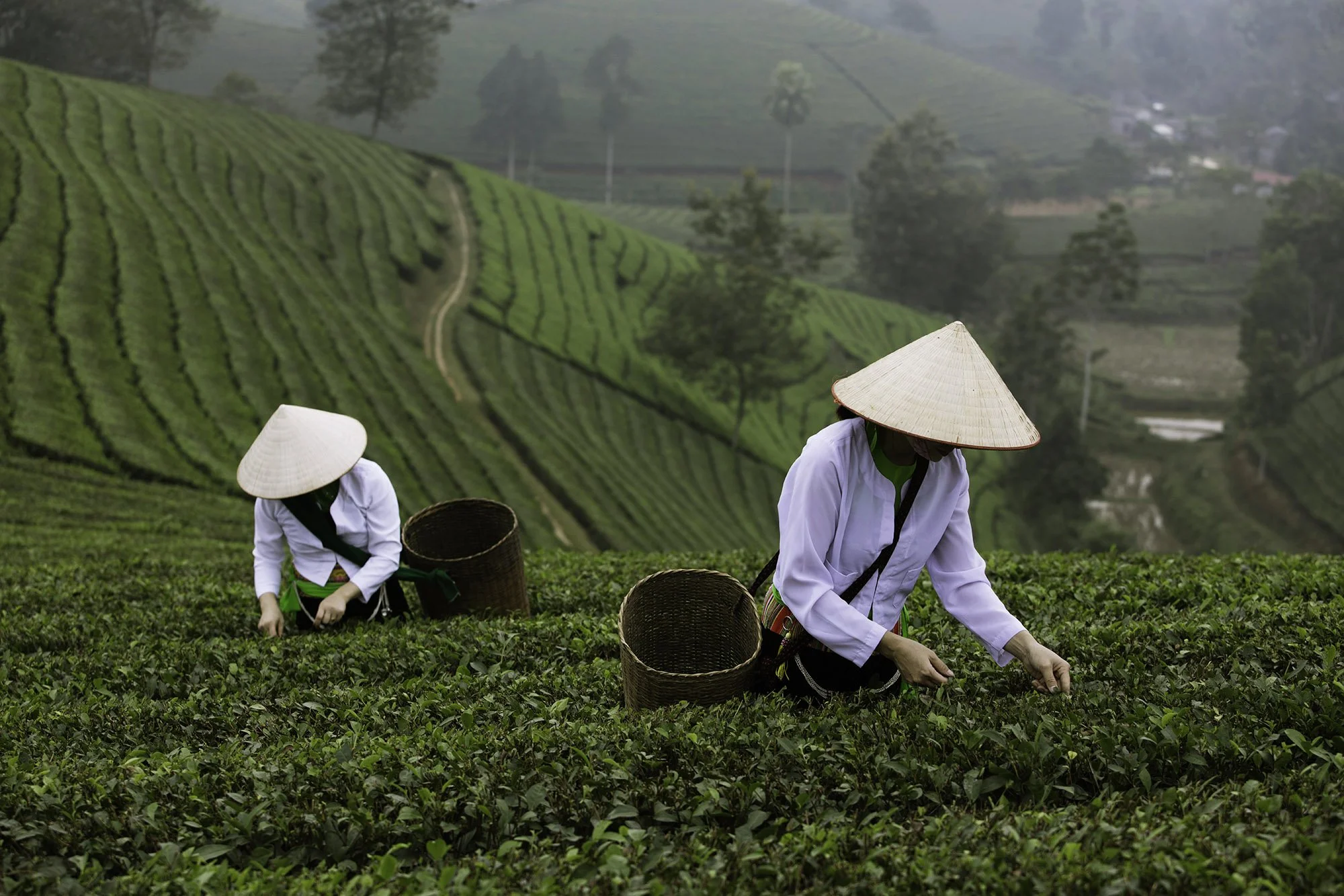 photo_expedition_vietnam_ASA 55_Long_Coc.jpg