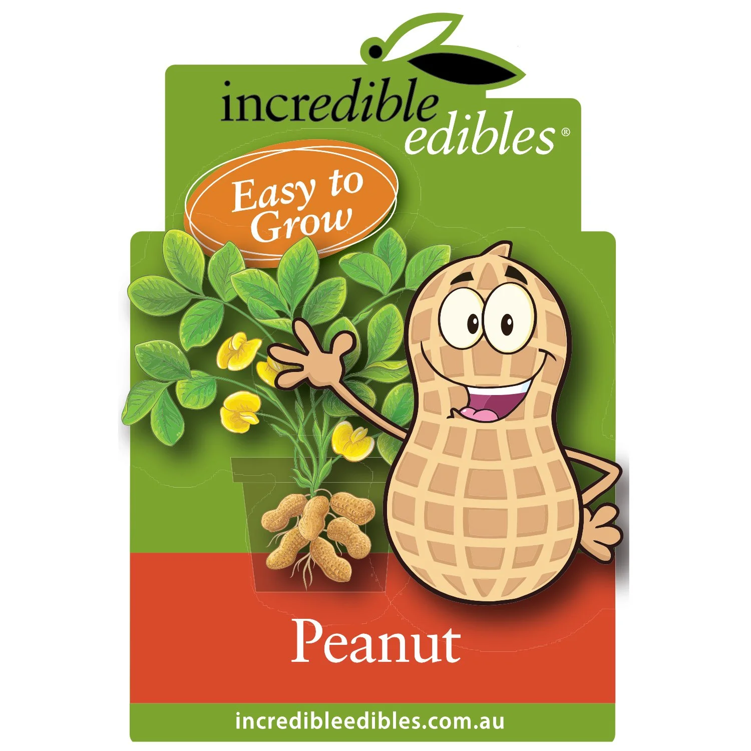 Peanut.jpg