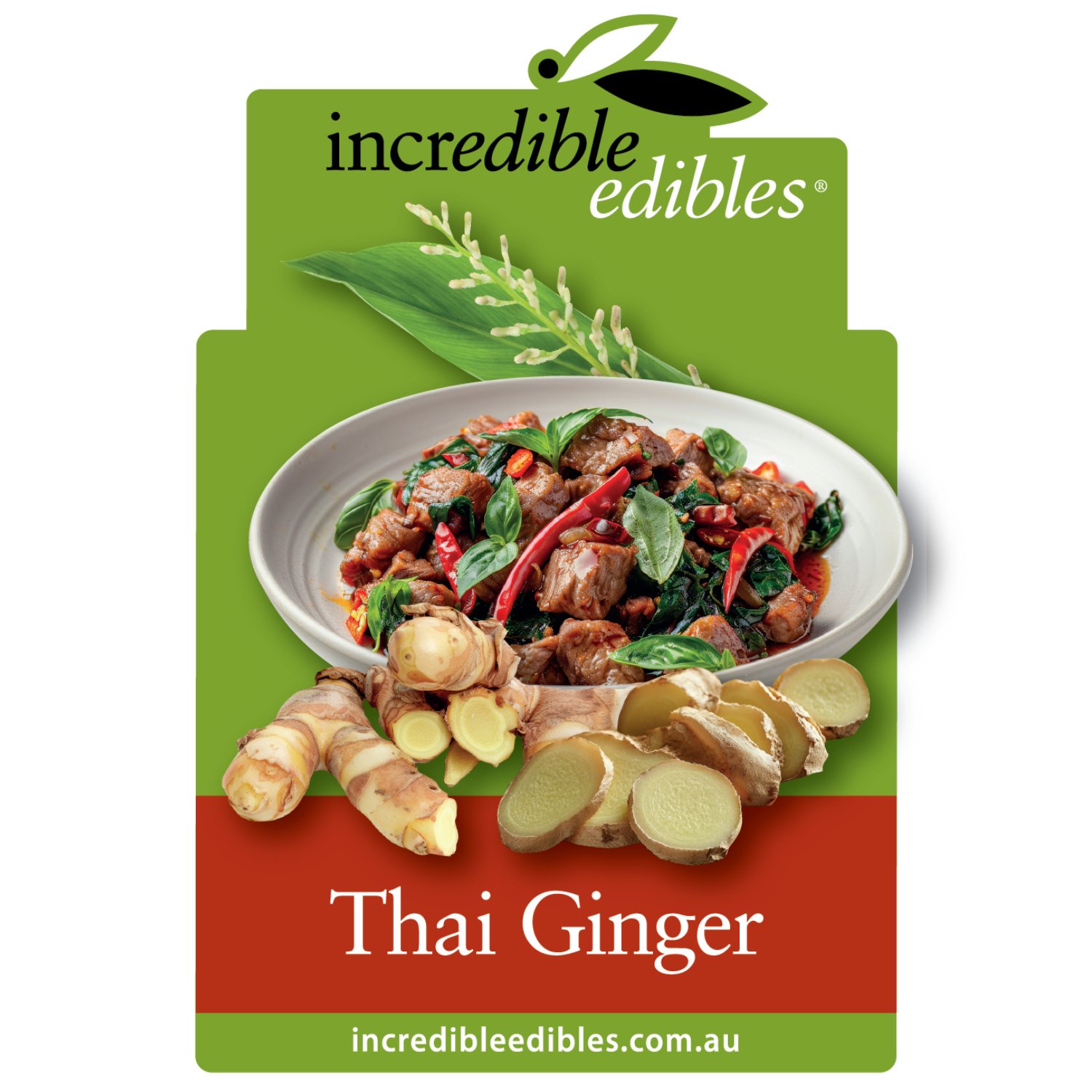 Thai Ginger