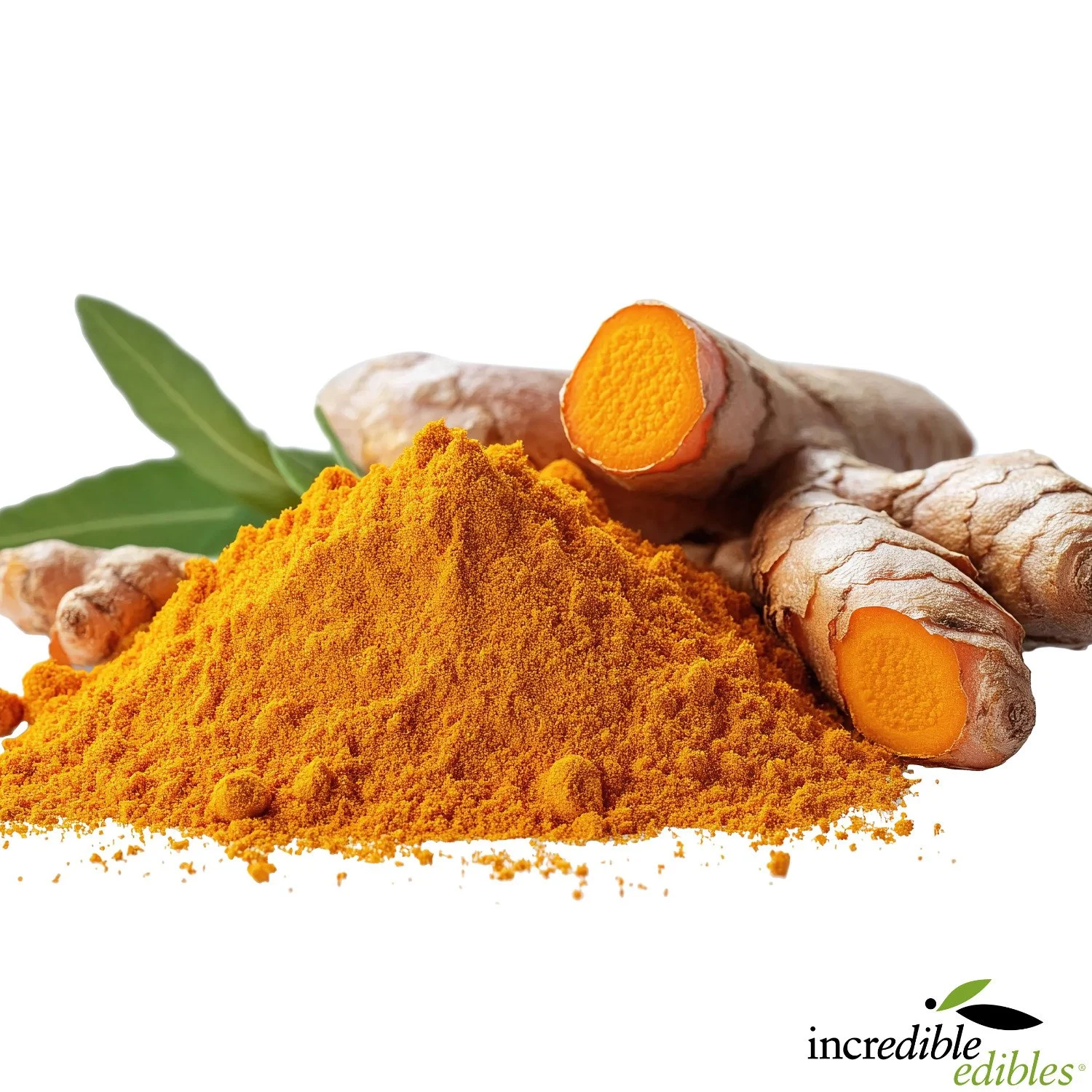 Turmeric powder and root on white background.jpg