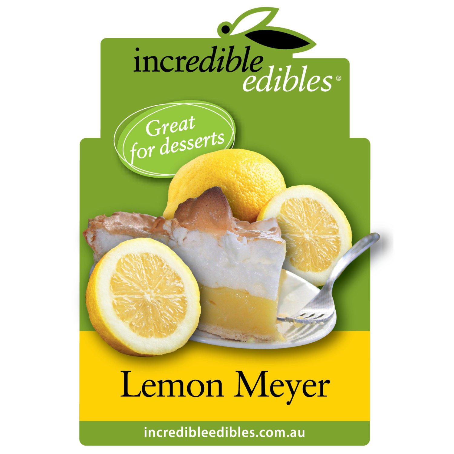 Citrus Lemon Meyer