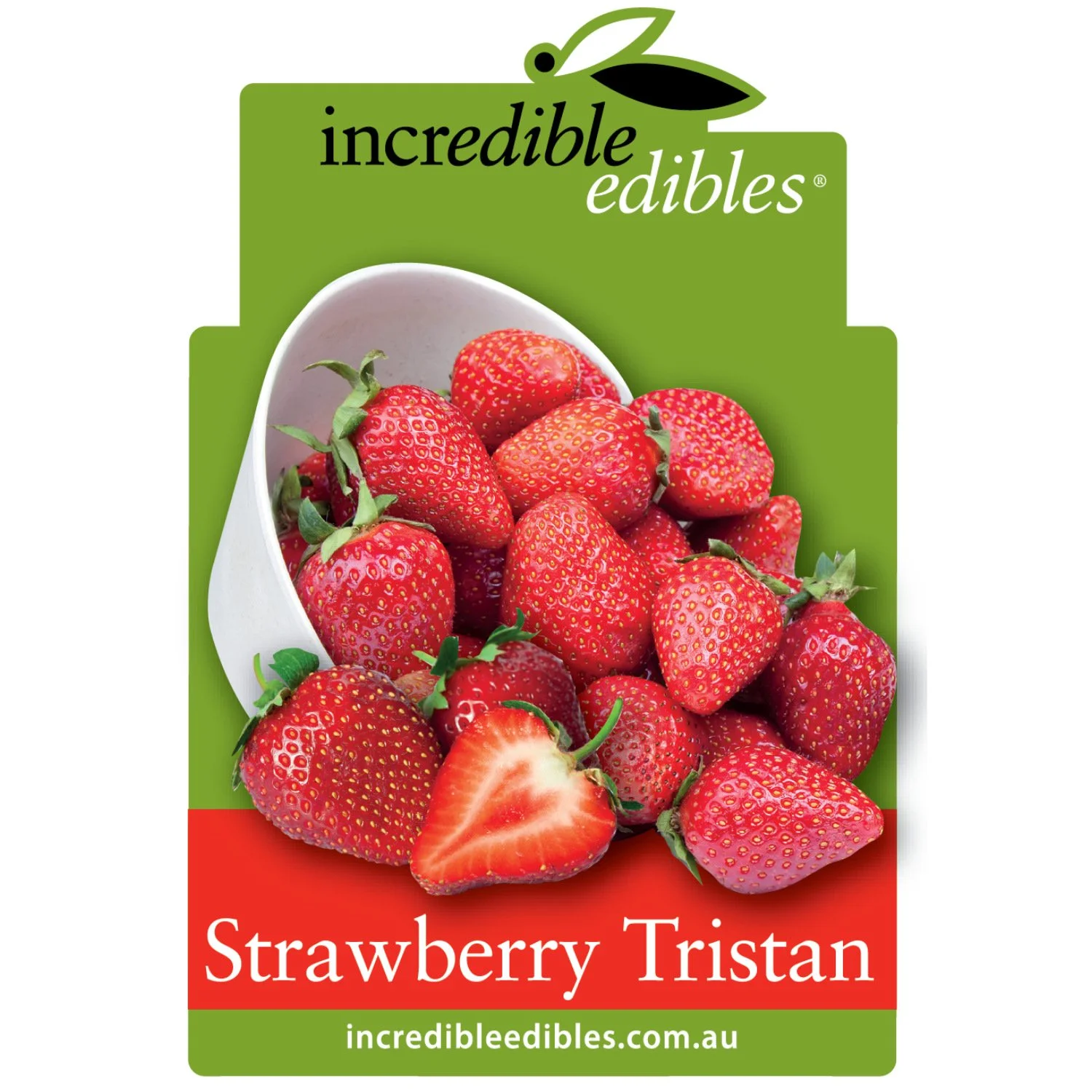 Strawberry 'Tristan'