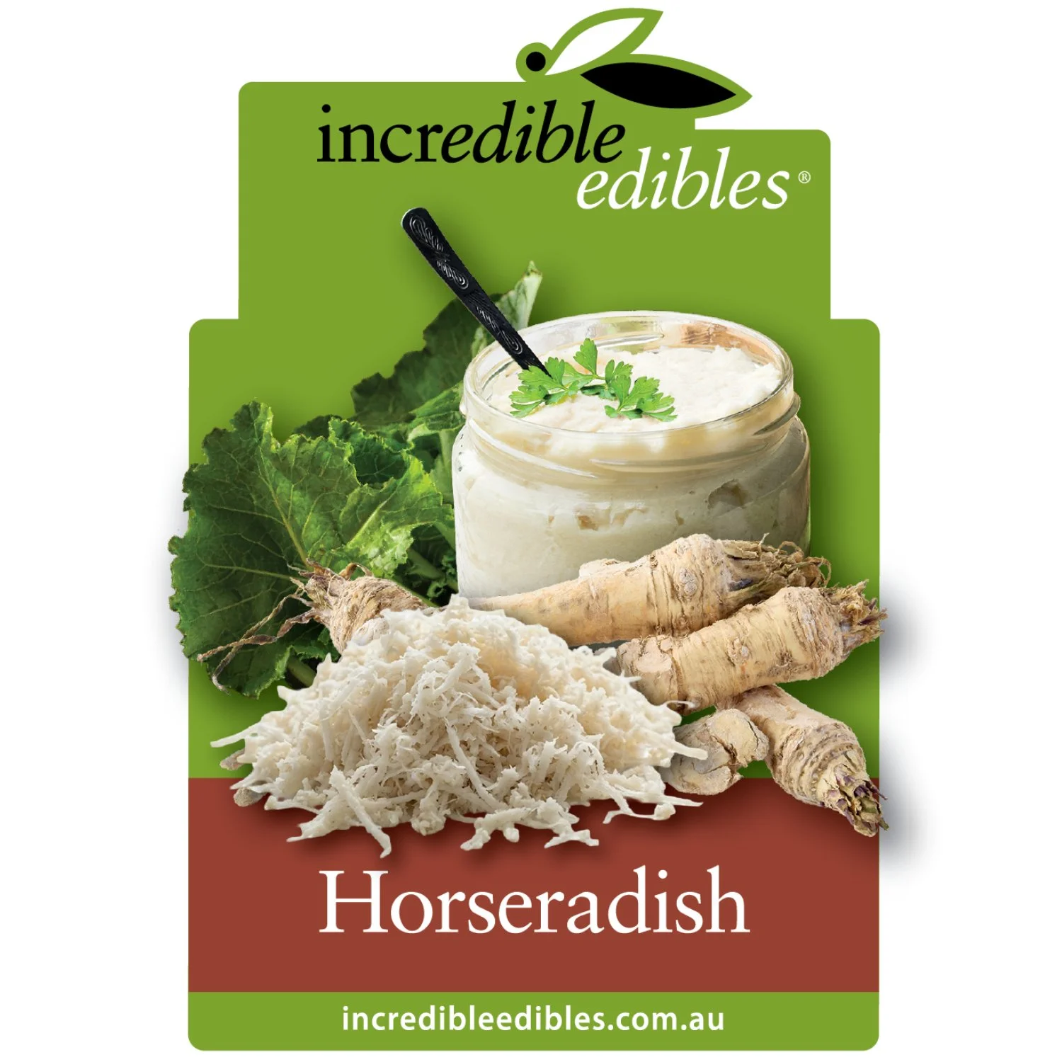 Horseradish