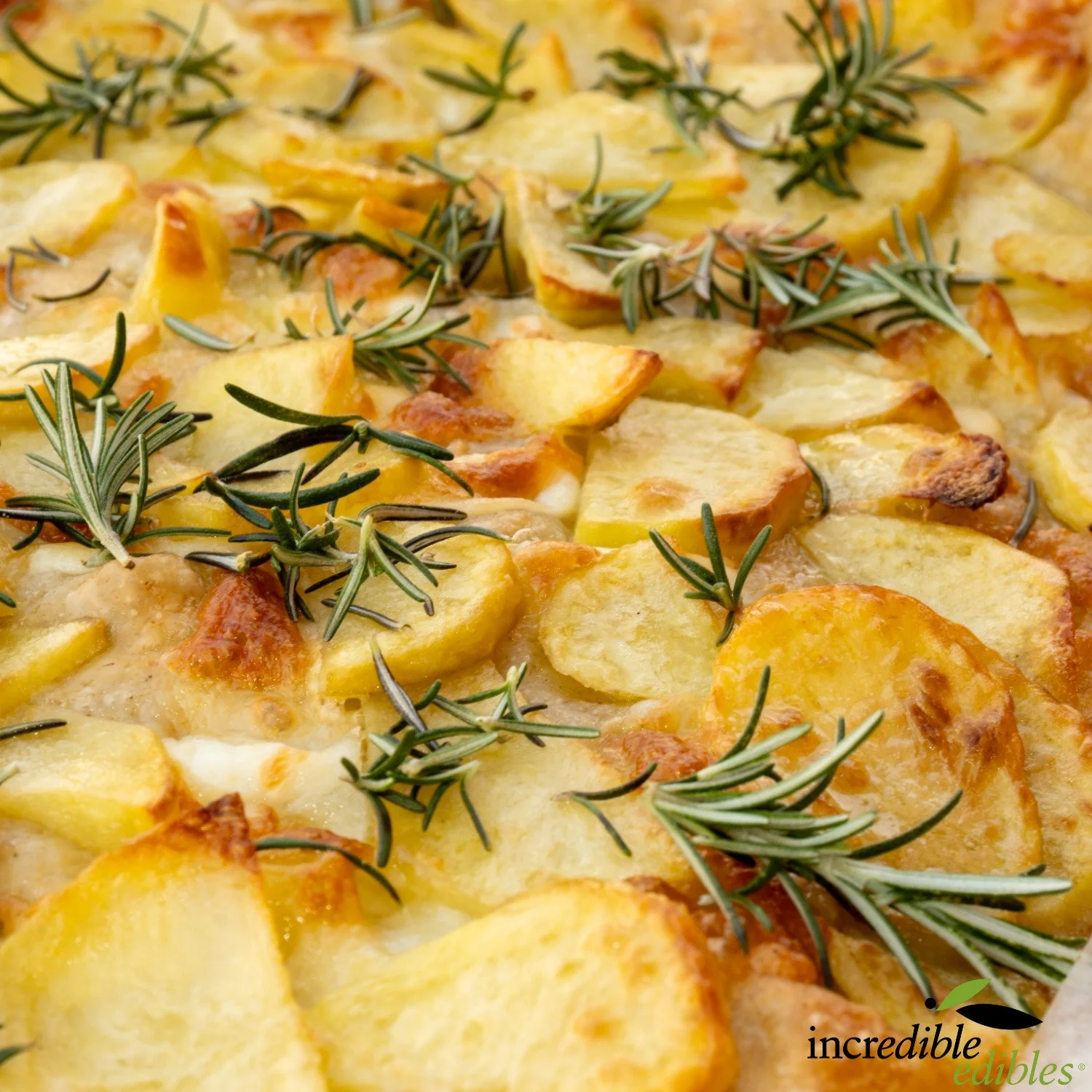 Rosemary sprigs on potate dish.jpg