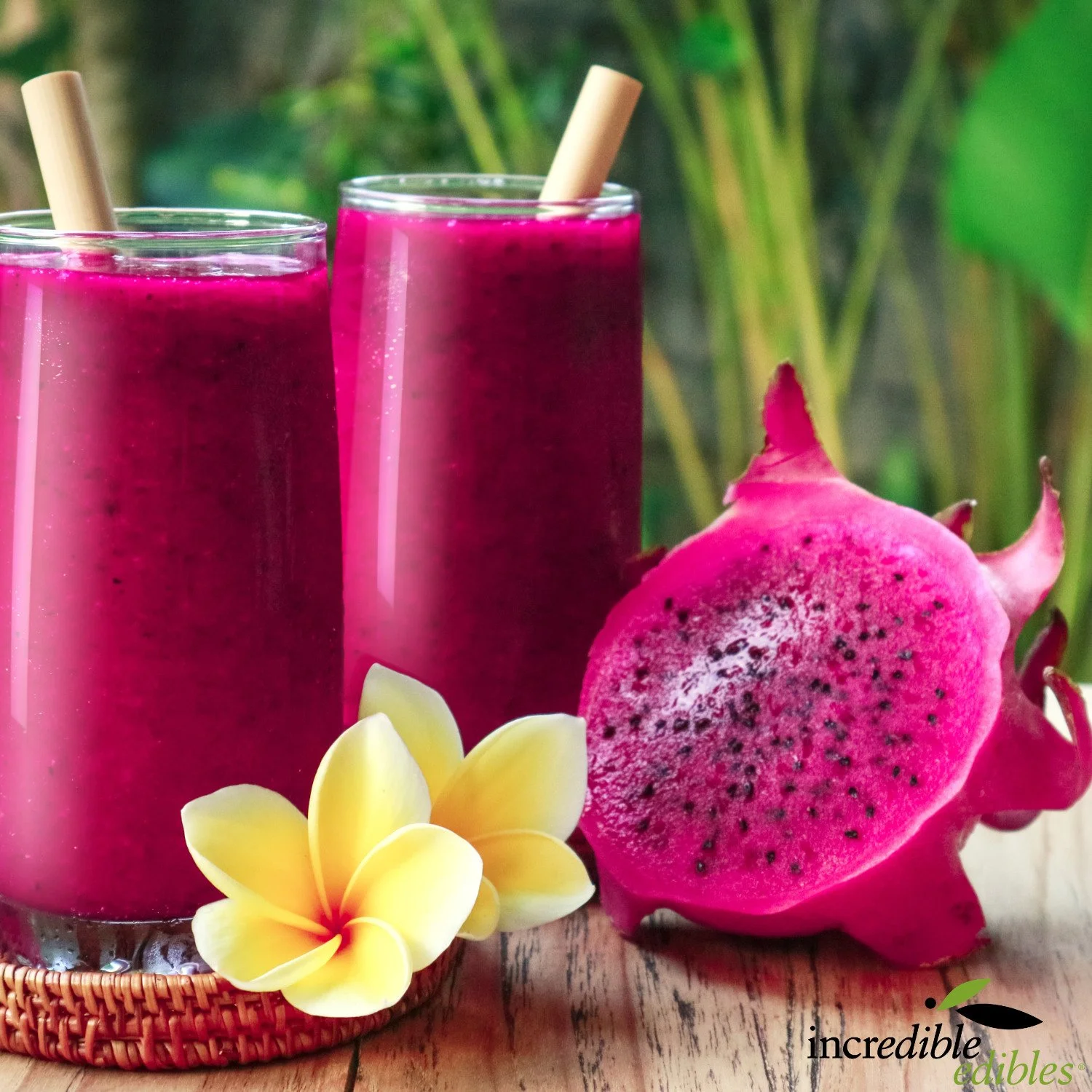 Dragonfruit Red shake.jpg