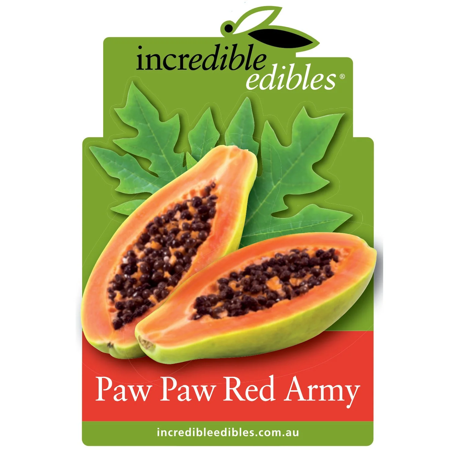 Paw Paw Red Army