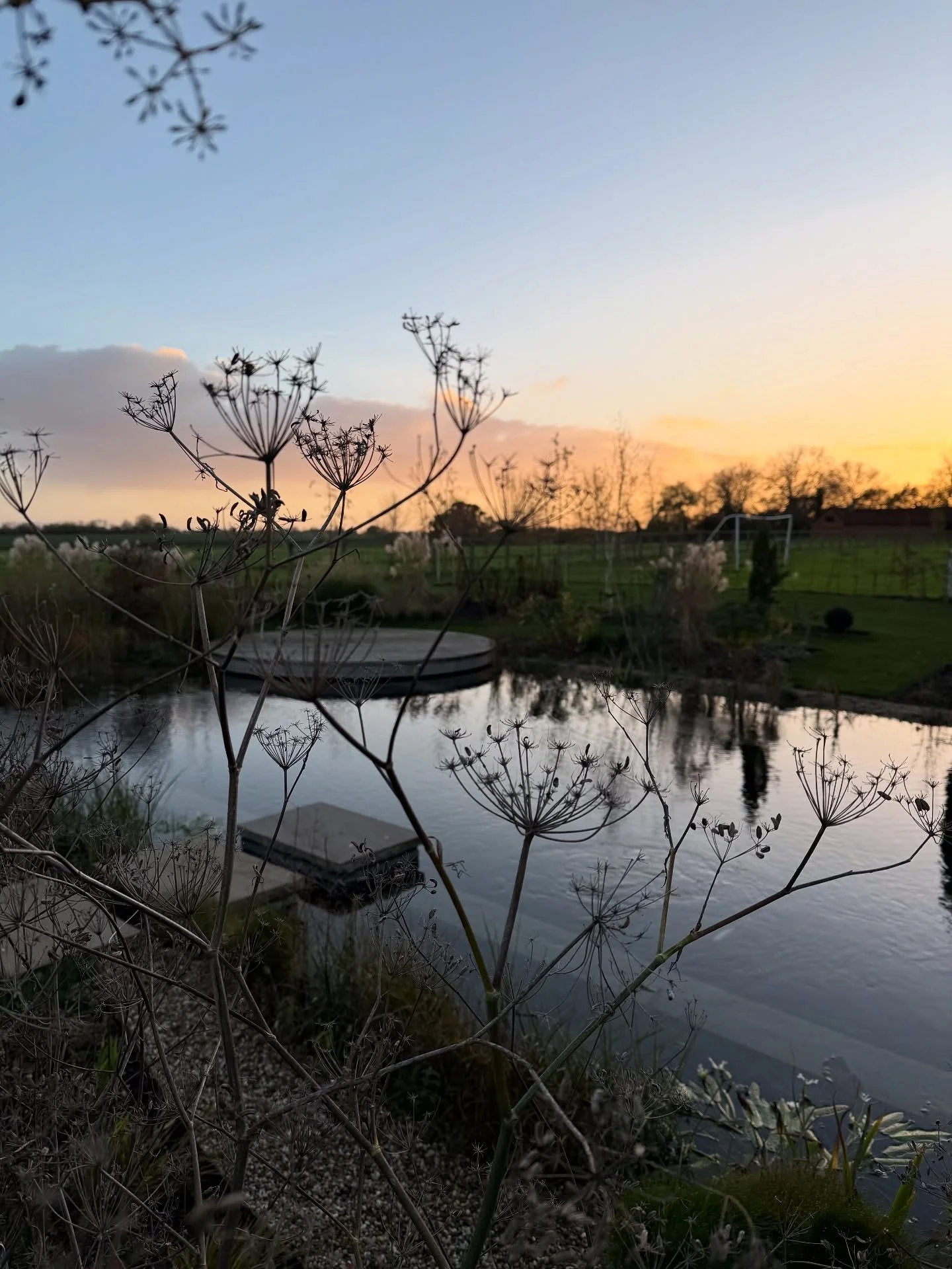 Evening light at a project designed and planted up 18 months ago. The owners are still dipping daily in this beautiful pool by @naturalswimmingpoolsltd - I&rsquo;m looking forward to adding some top ups to the planting next week, and we will be start