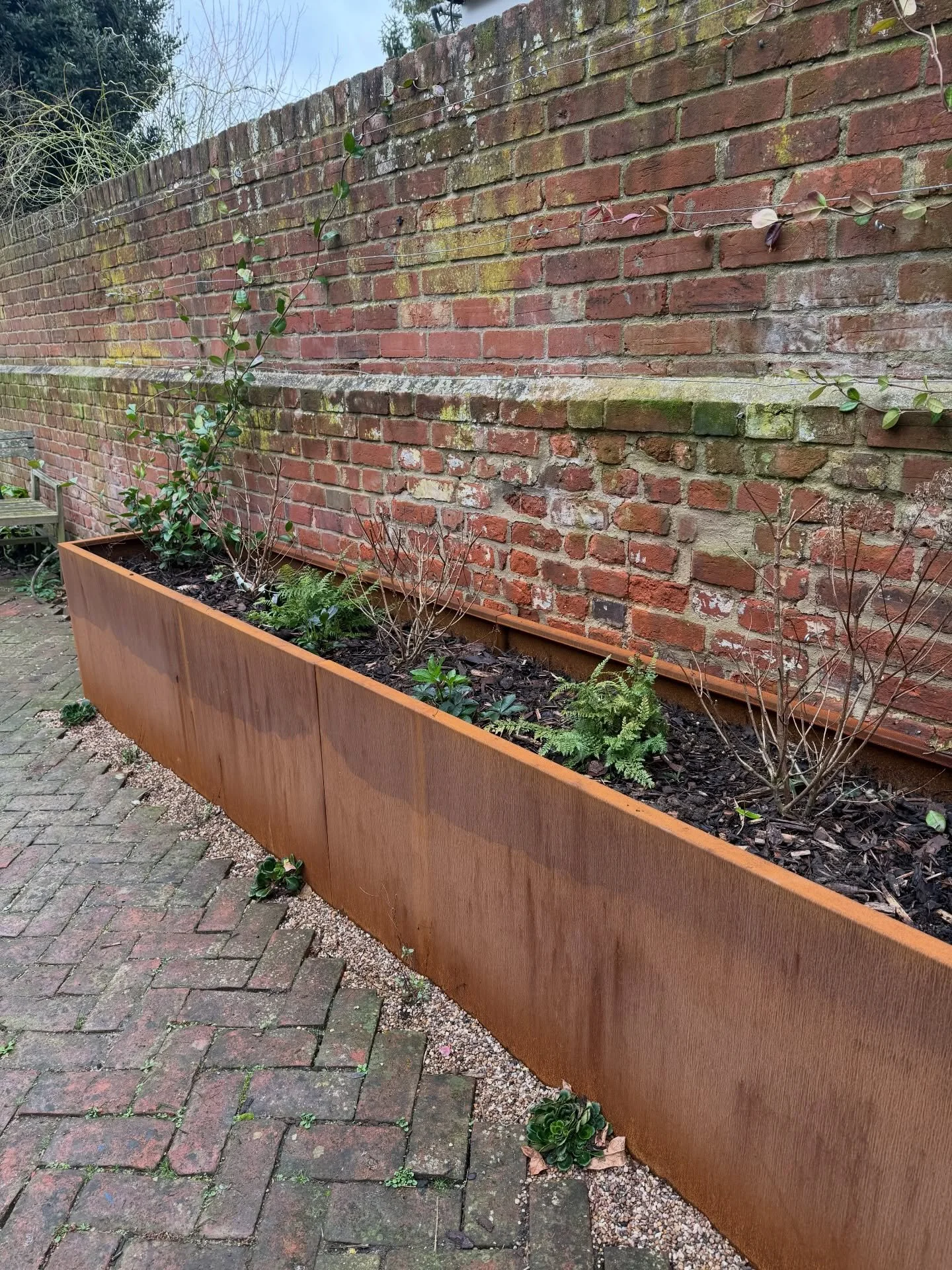 Popped back to this courtyard garden project this week, to check everything has settled in, add a couple of extra plants which weren&rsquo;t available pre-Christmas, and give the client a few maintenance hints and tips to make sure everything gets of
