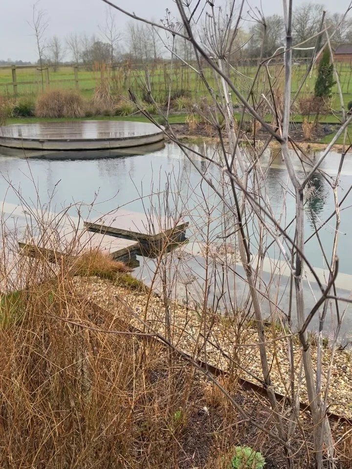 February check-in at my natural swimming pool client. I love going back to cut back the deciduous grasses (now is the perfect time to do this job) alongside the client, and see how everything is settling in. 

Swipe through to see how the pool looked
