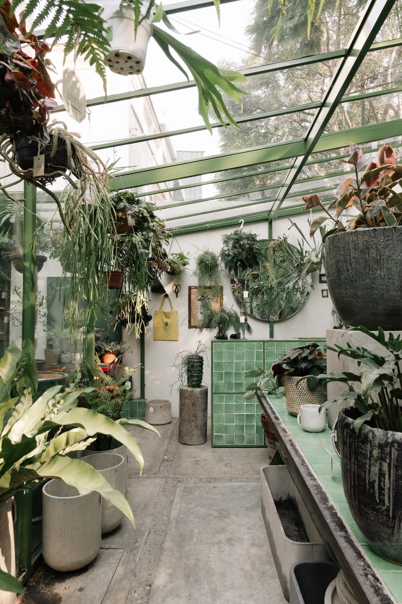 SimpleA, BOTEO33.jpg