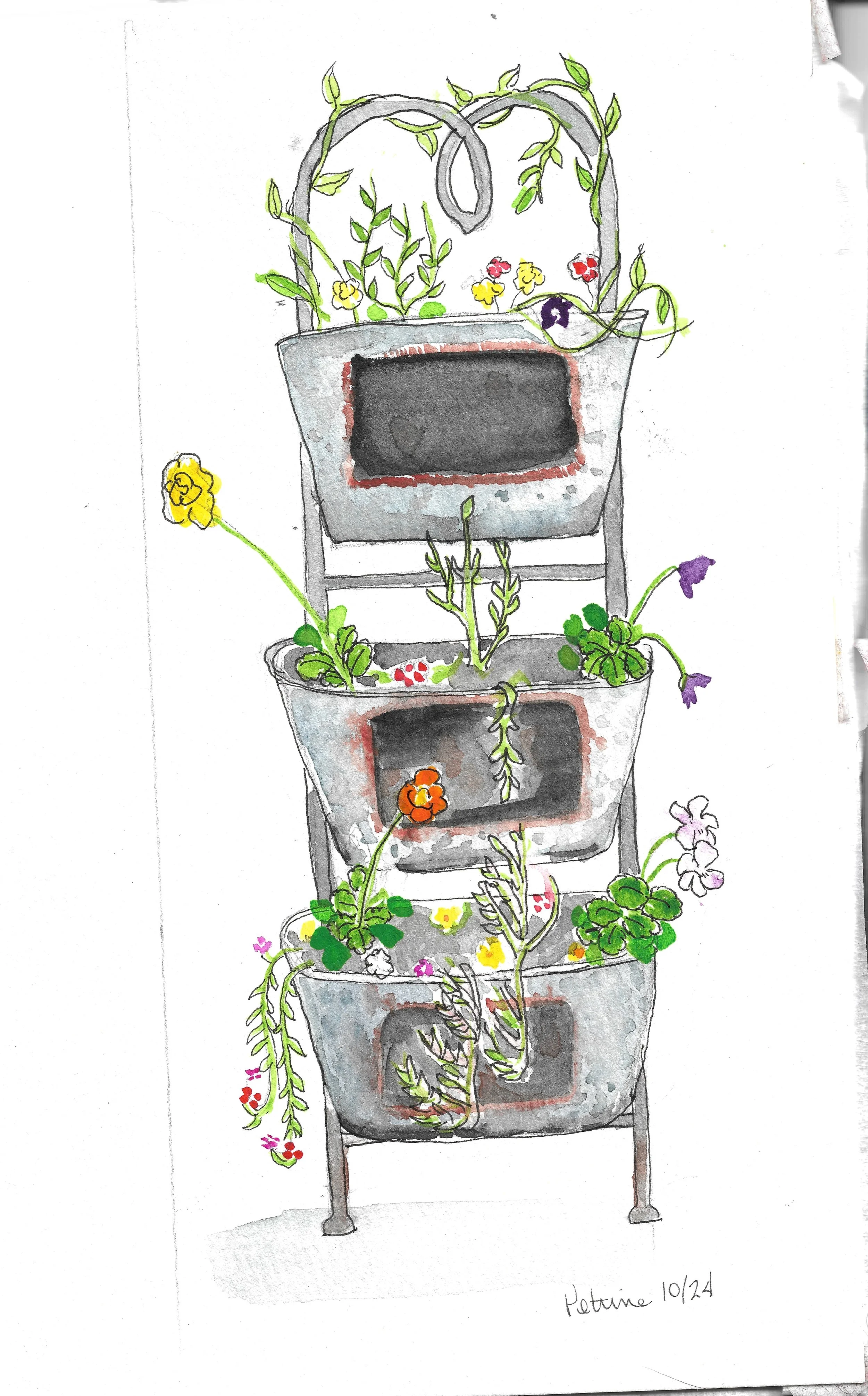 Planter-Mendoza_2024-11-07.jpg