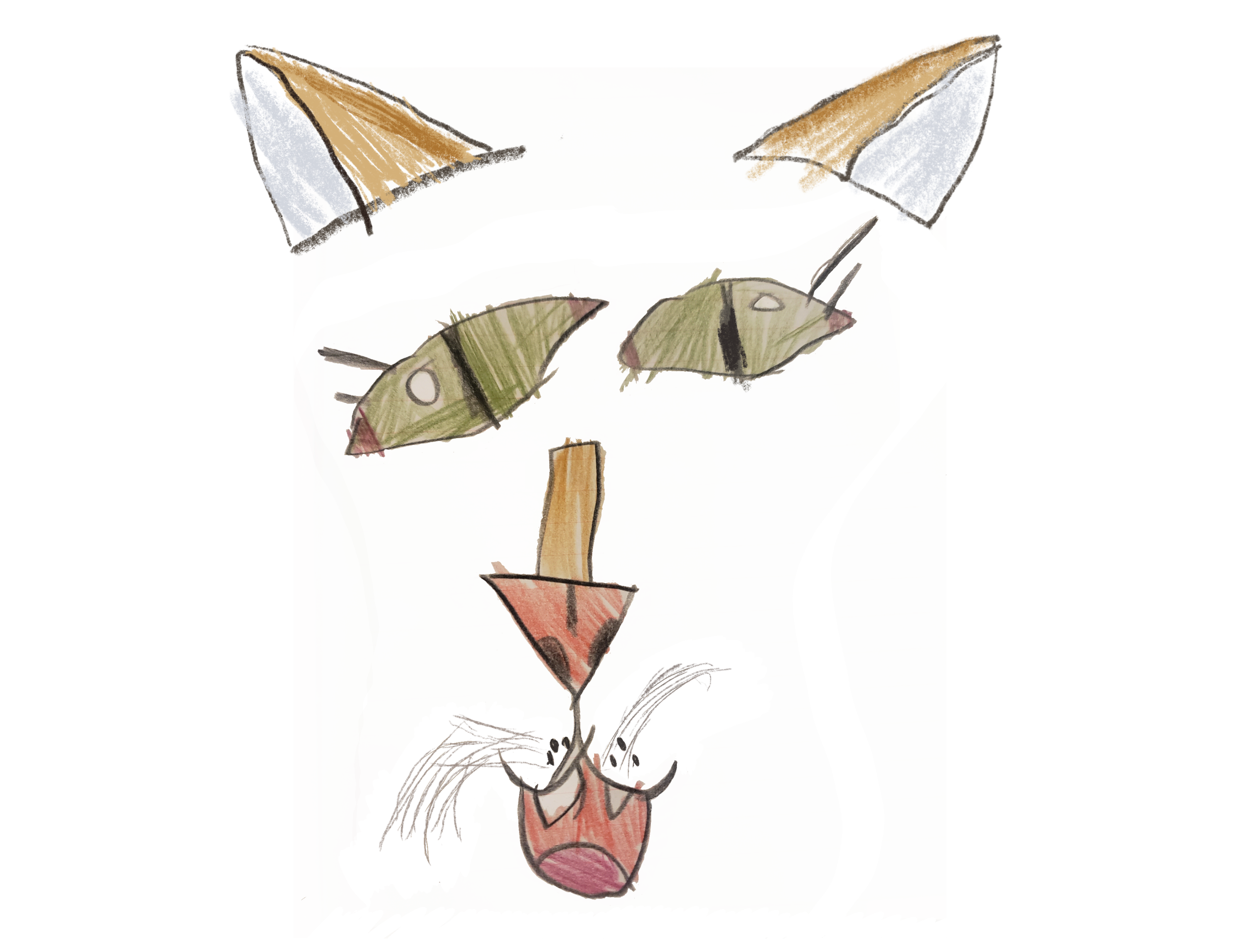Skye's_Cat_1.png