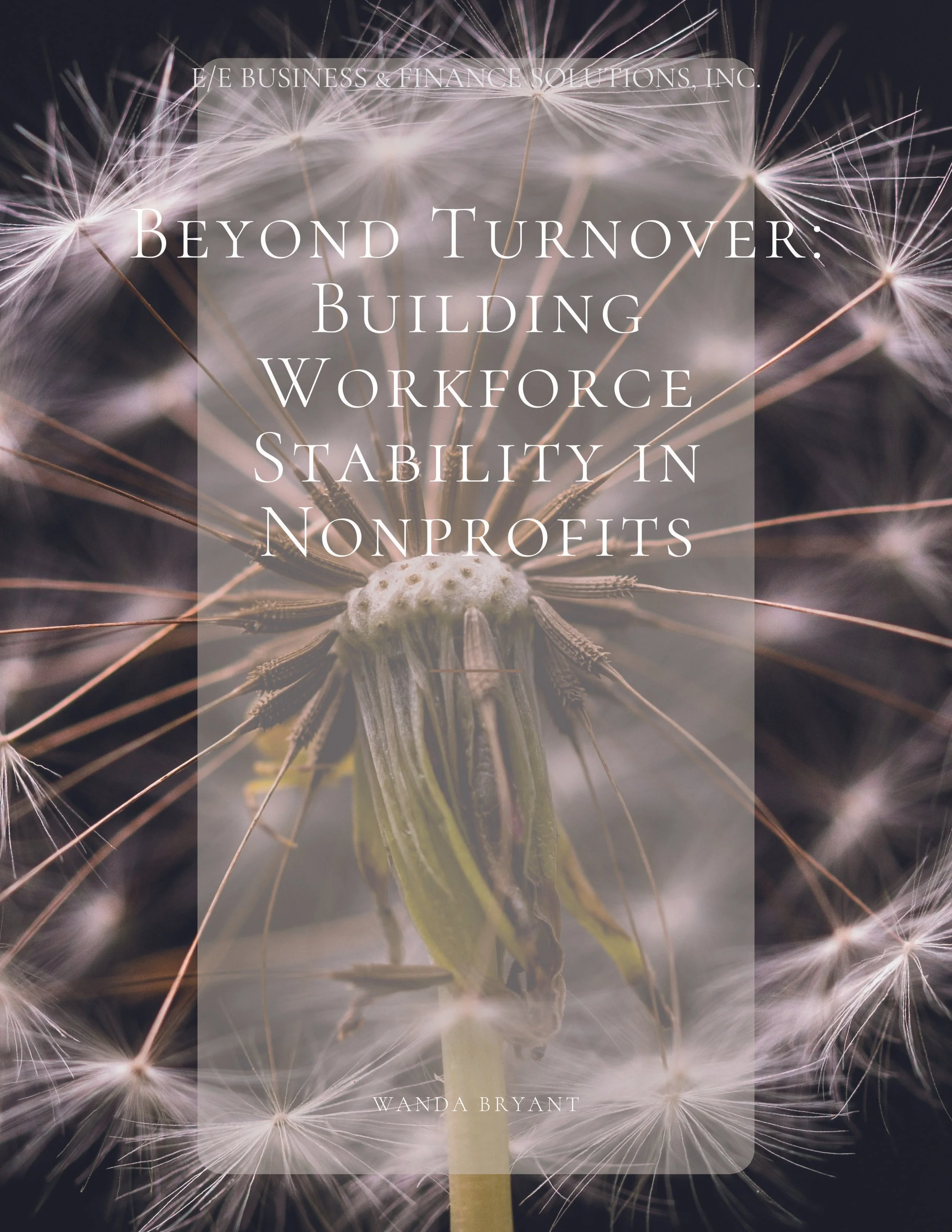Beyond Turnover Building Workforce Stability in Nonprofits.jpg
