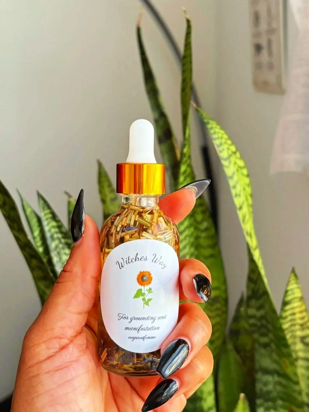 IMG_0807.jpg
