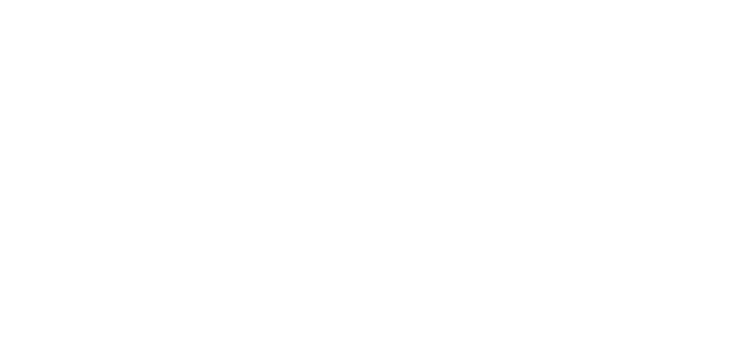 Karen Del Fierro Monroy