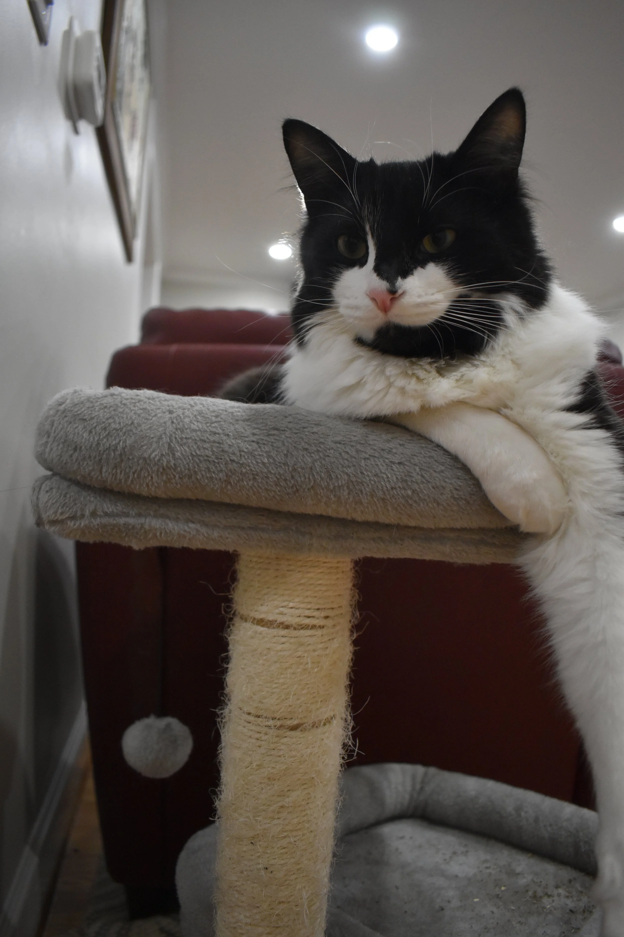 DSC_0439.JPG