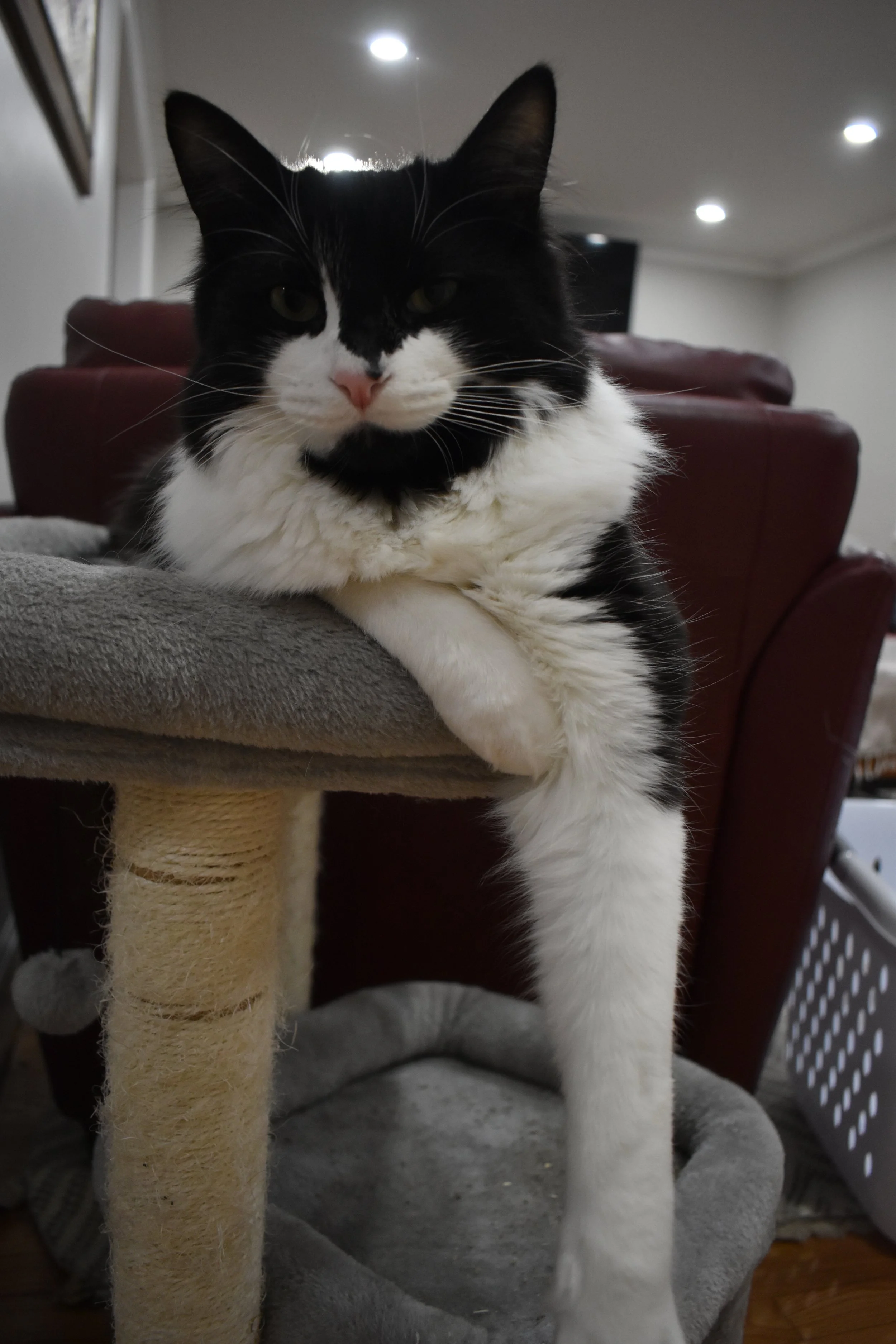 DSC_0440.JPG