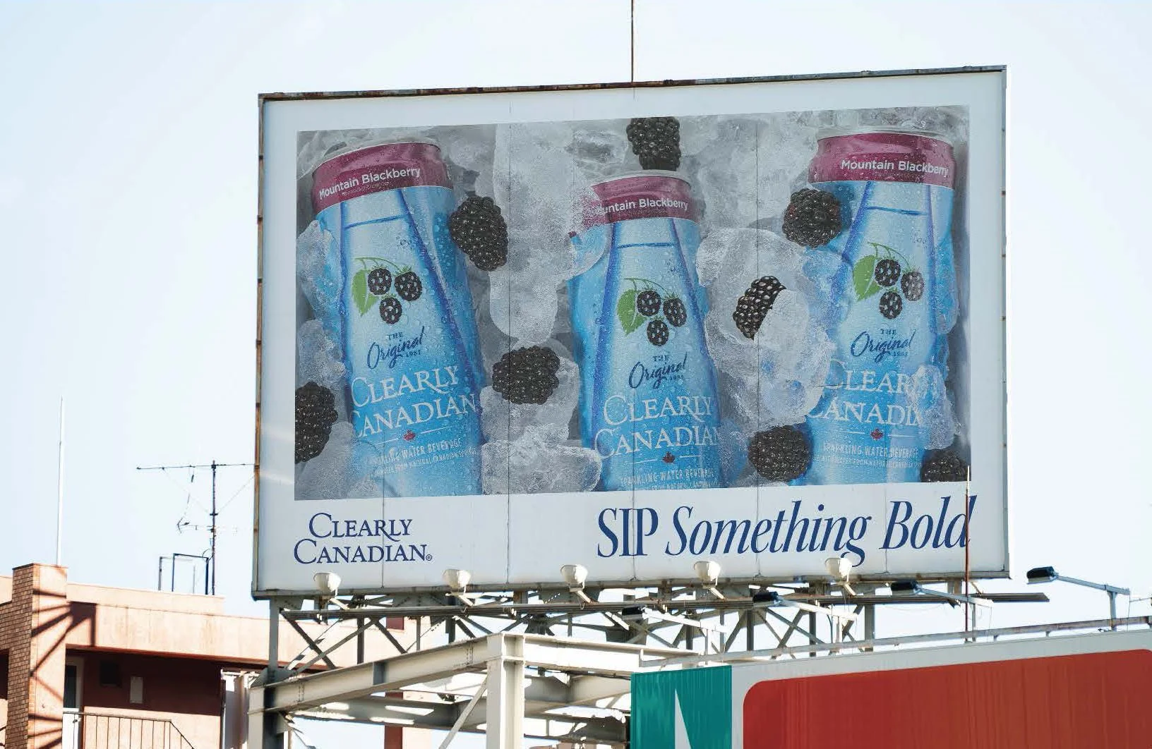 ClearlyCanadian_MasterFile-Working _Page_38 copy.jpg