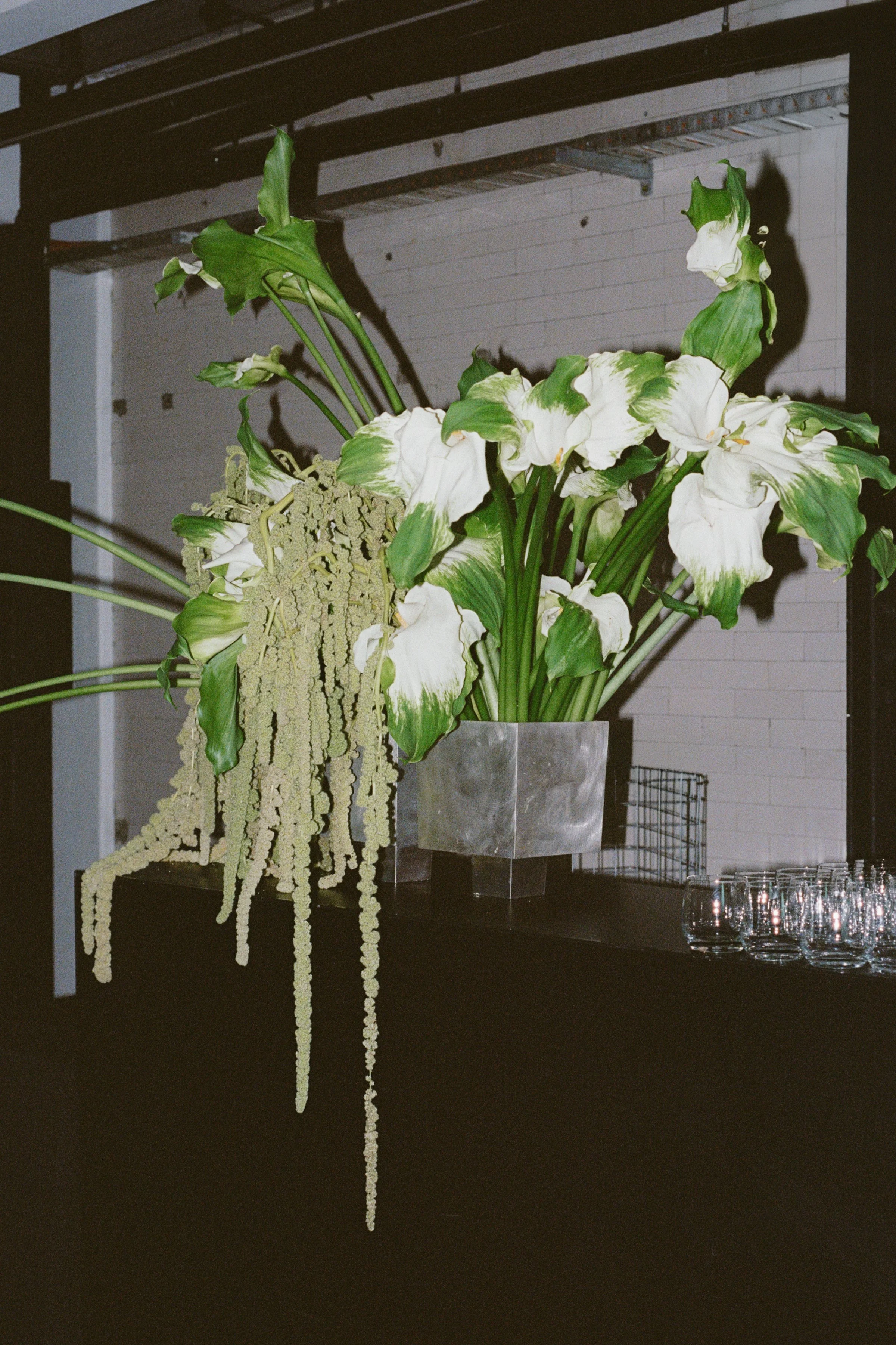 MAGNOLIA_AVE_FILM_14 copy.jpg