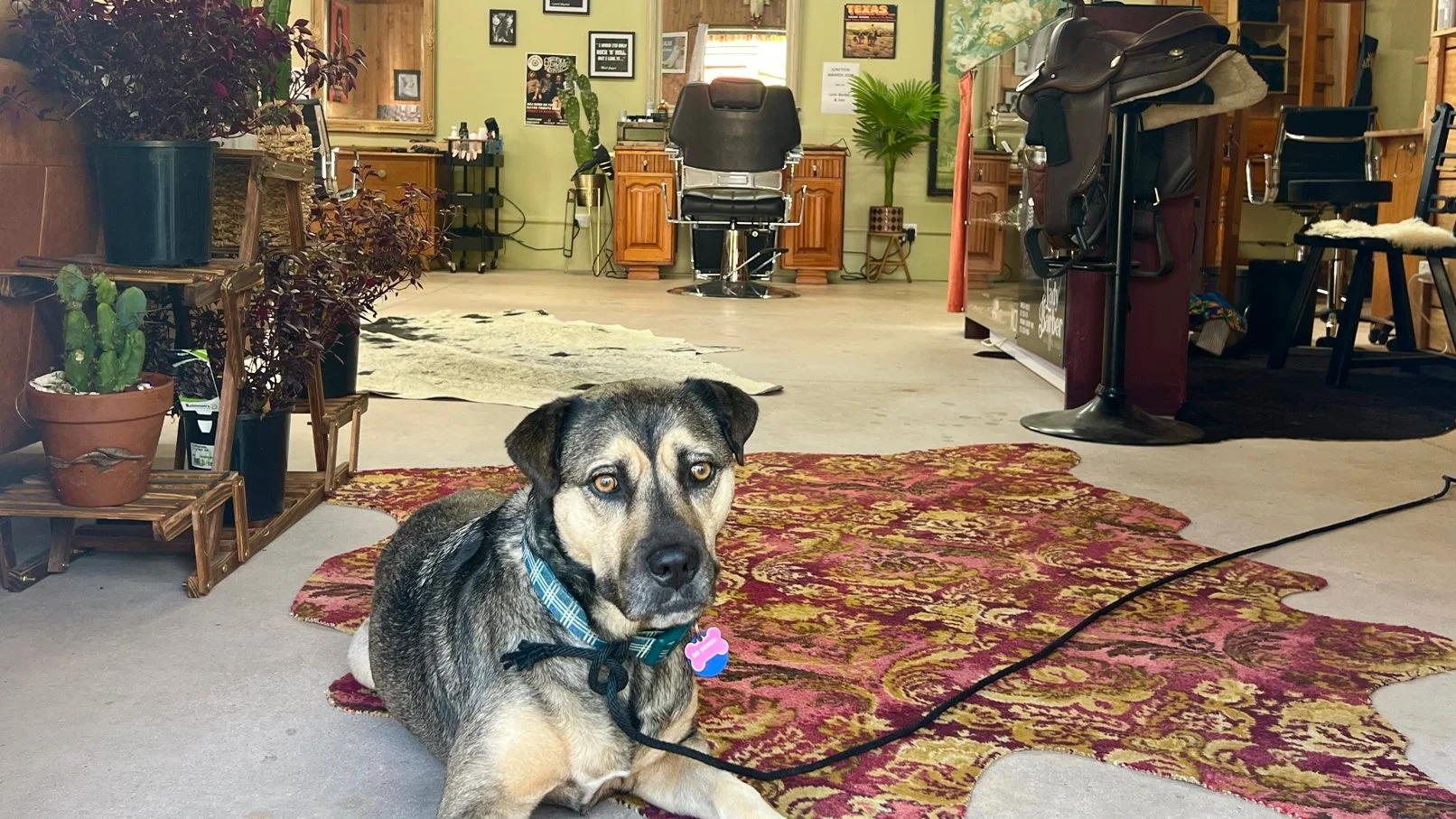 new-shop-lady-barber2.jpg