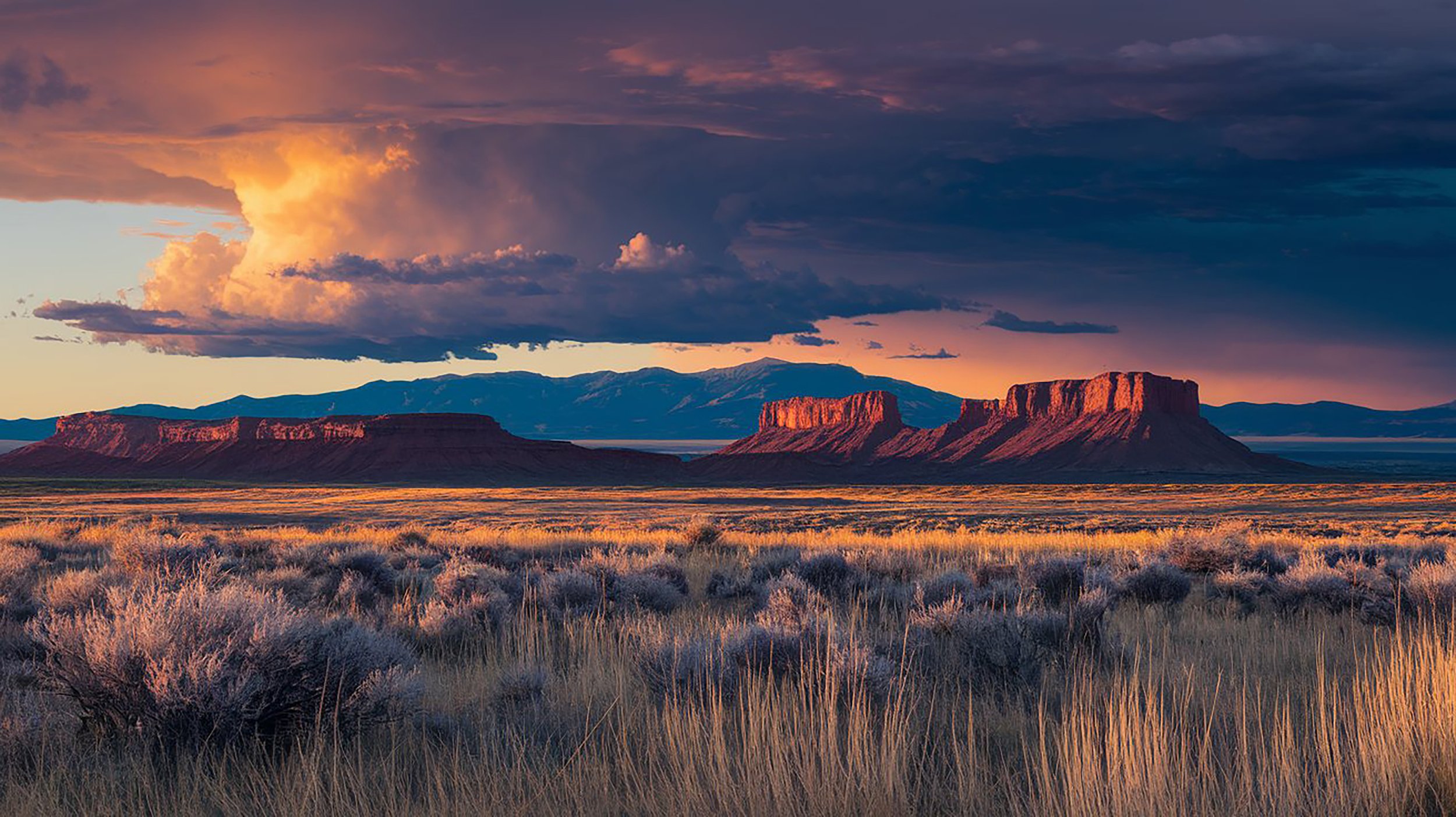 vecteezy_a-storm-clouds-over-the-desert-with-mountains-in-the-background_65648336.jpg